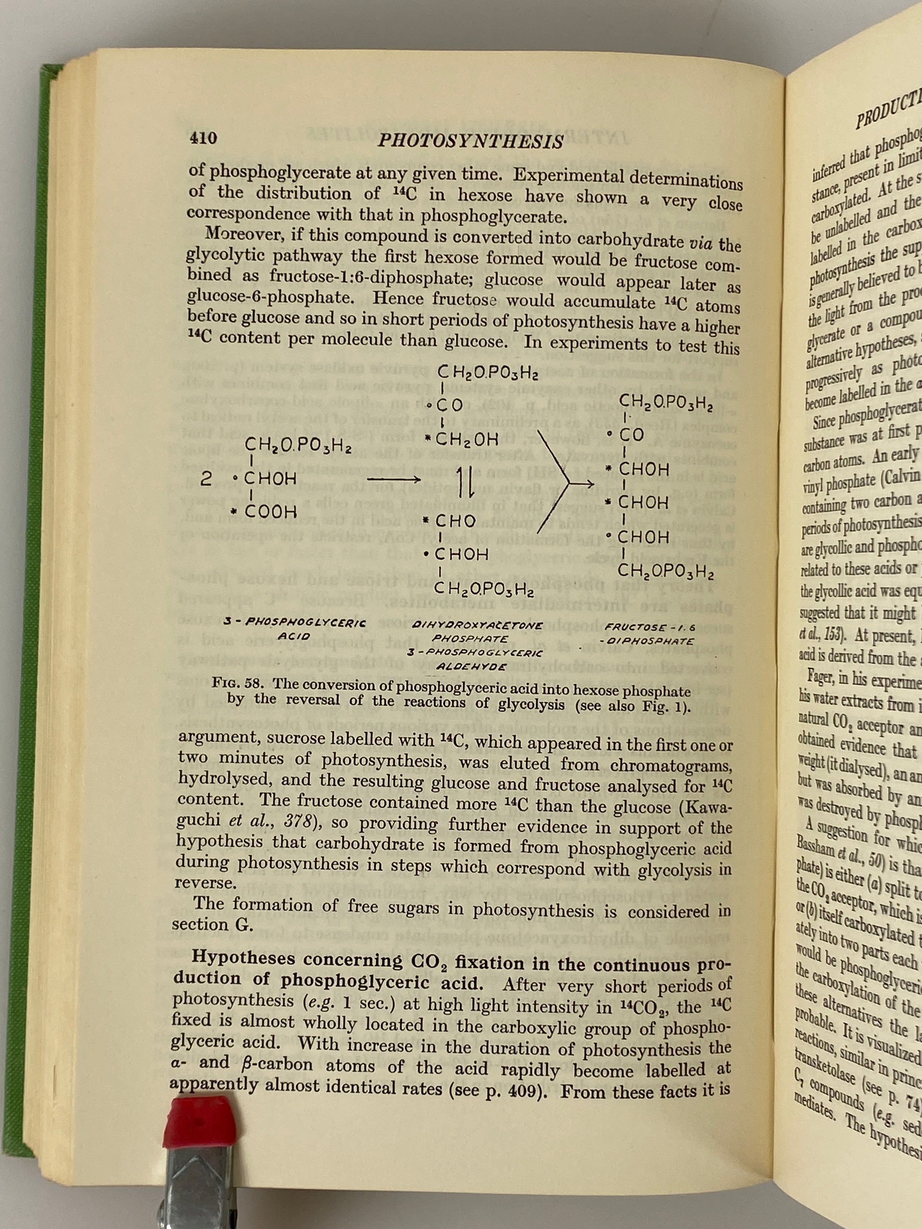Plant Physiology by Meirion Thomas 1958 Fourth Edition HC DJ