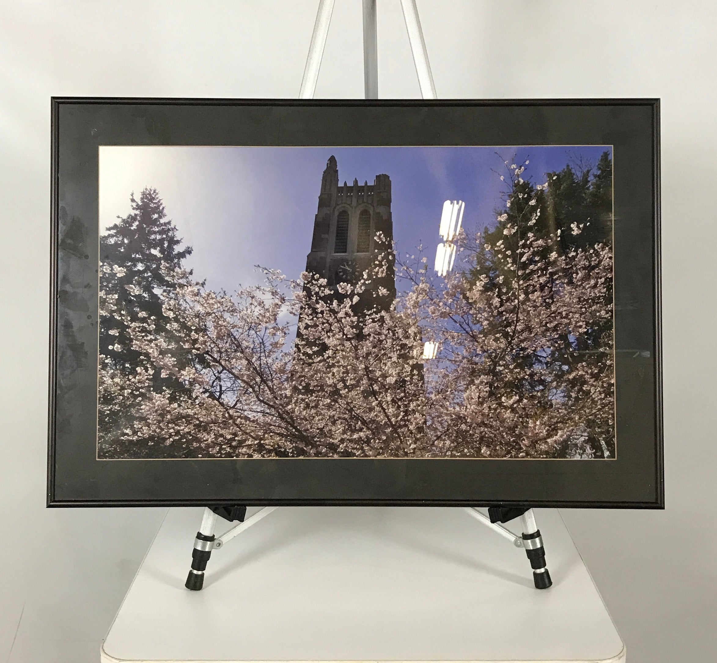 Beaumont Tower Photograph