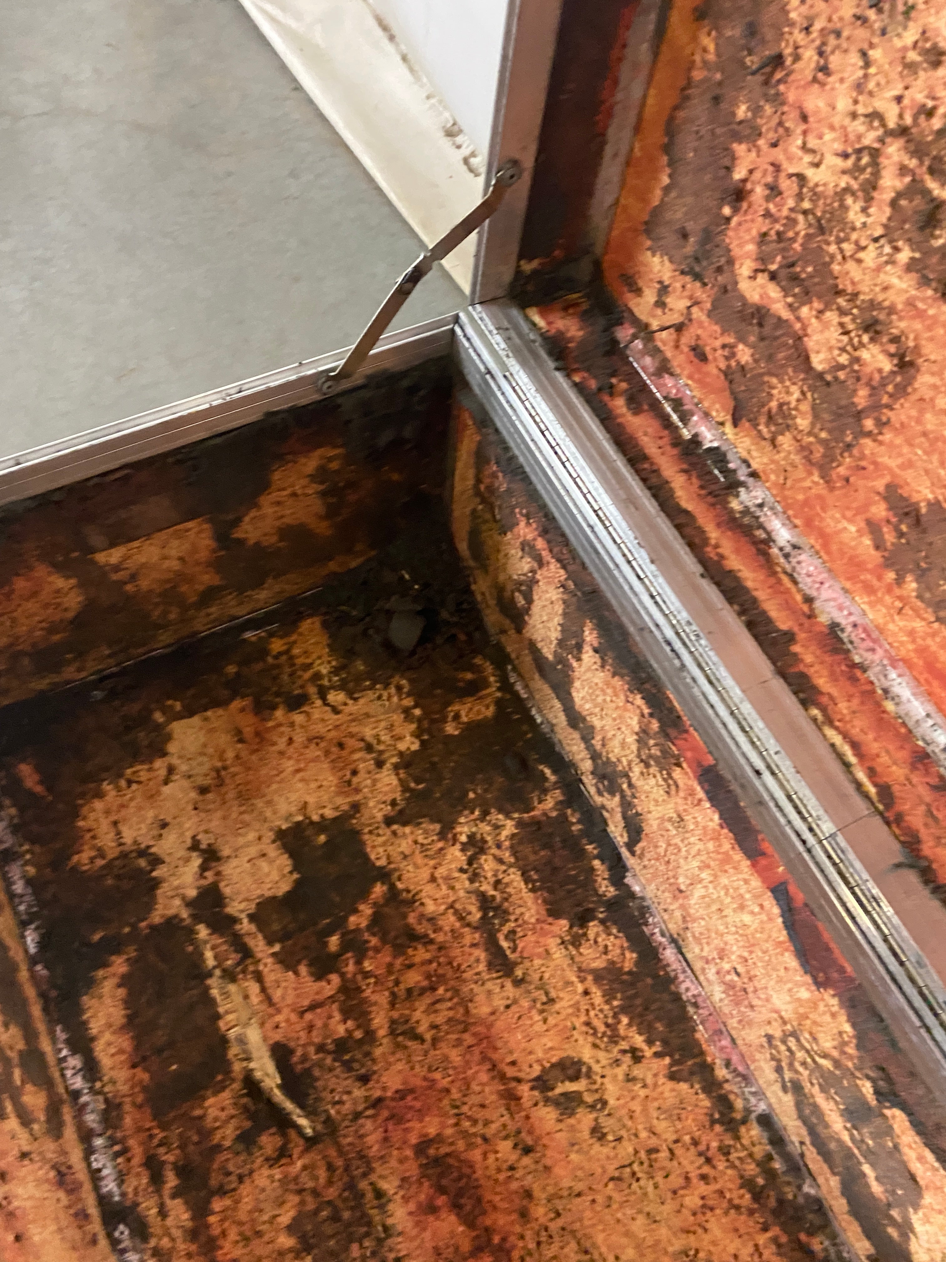 Cabbage Cases Metal Storage Case w/ Handles