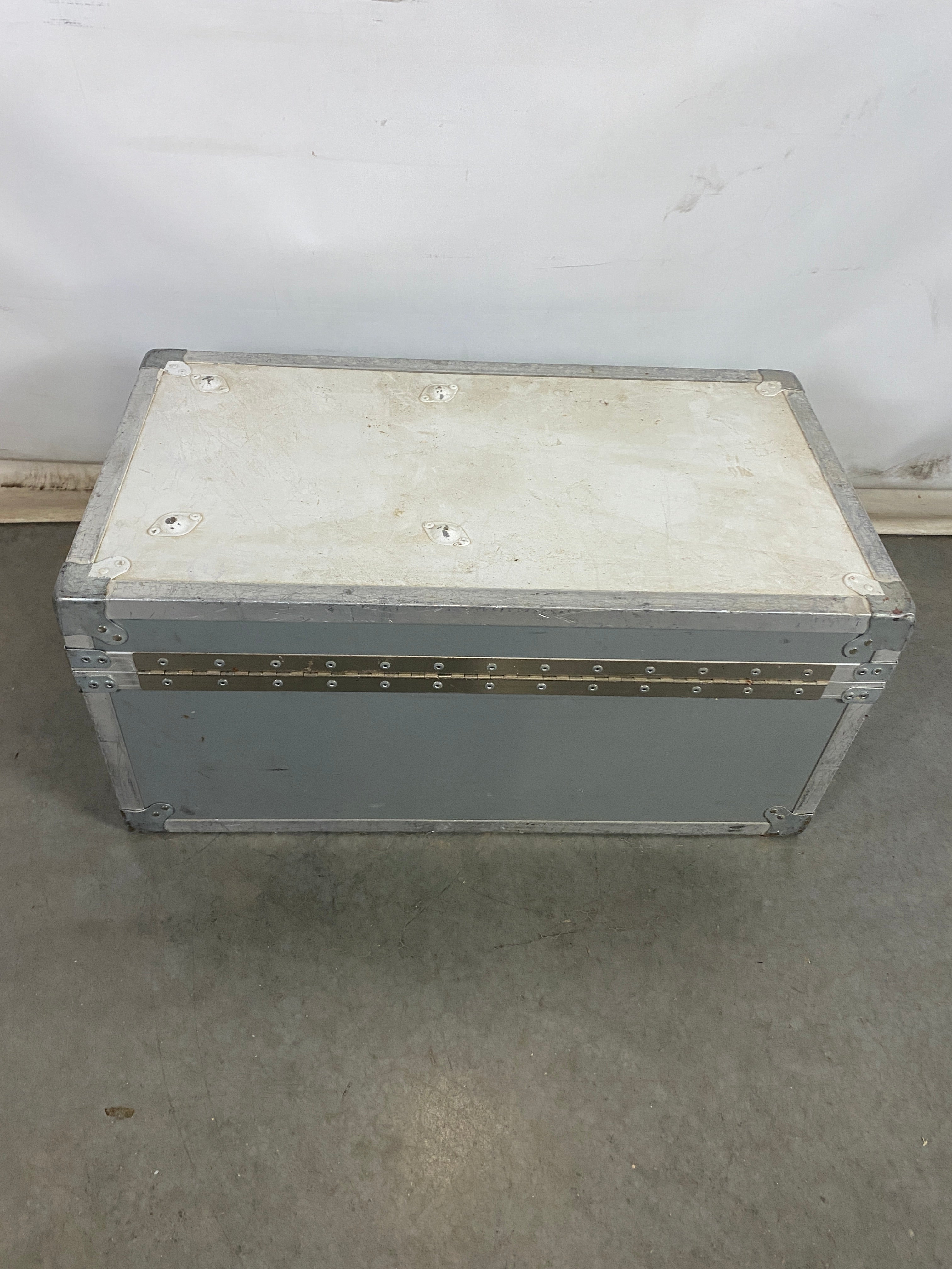 Cabbage Cases Metal Storage Case w/ Handles