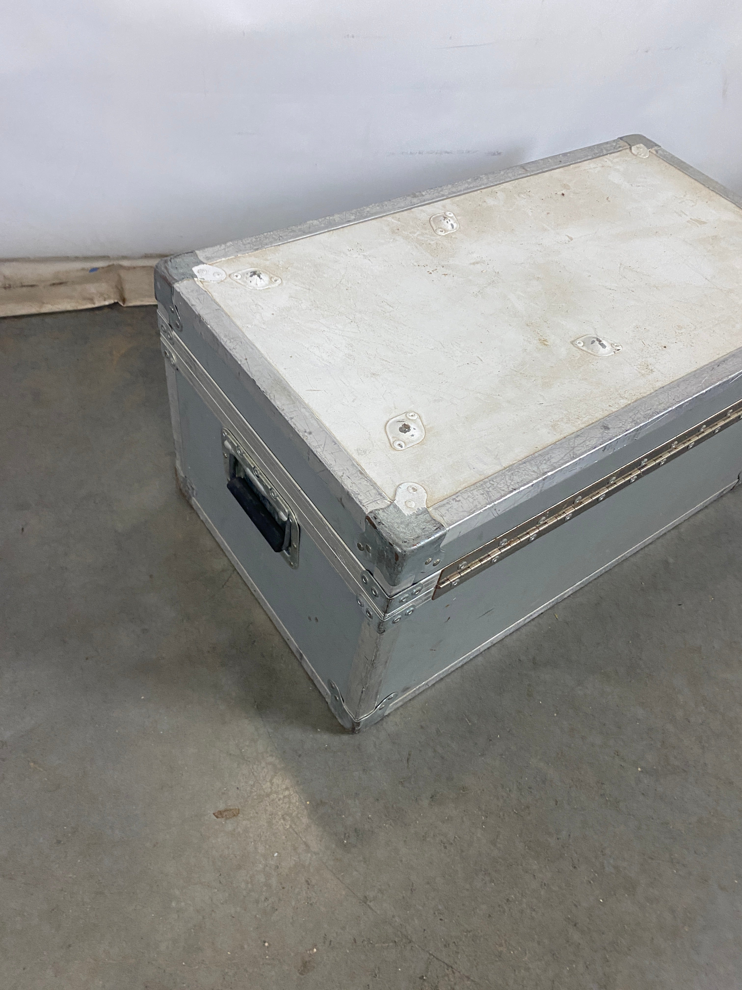 Cabbage Cases Metal Storage Case w/ Handles