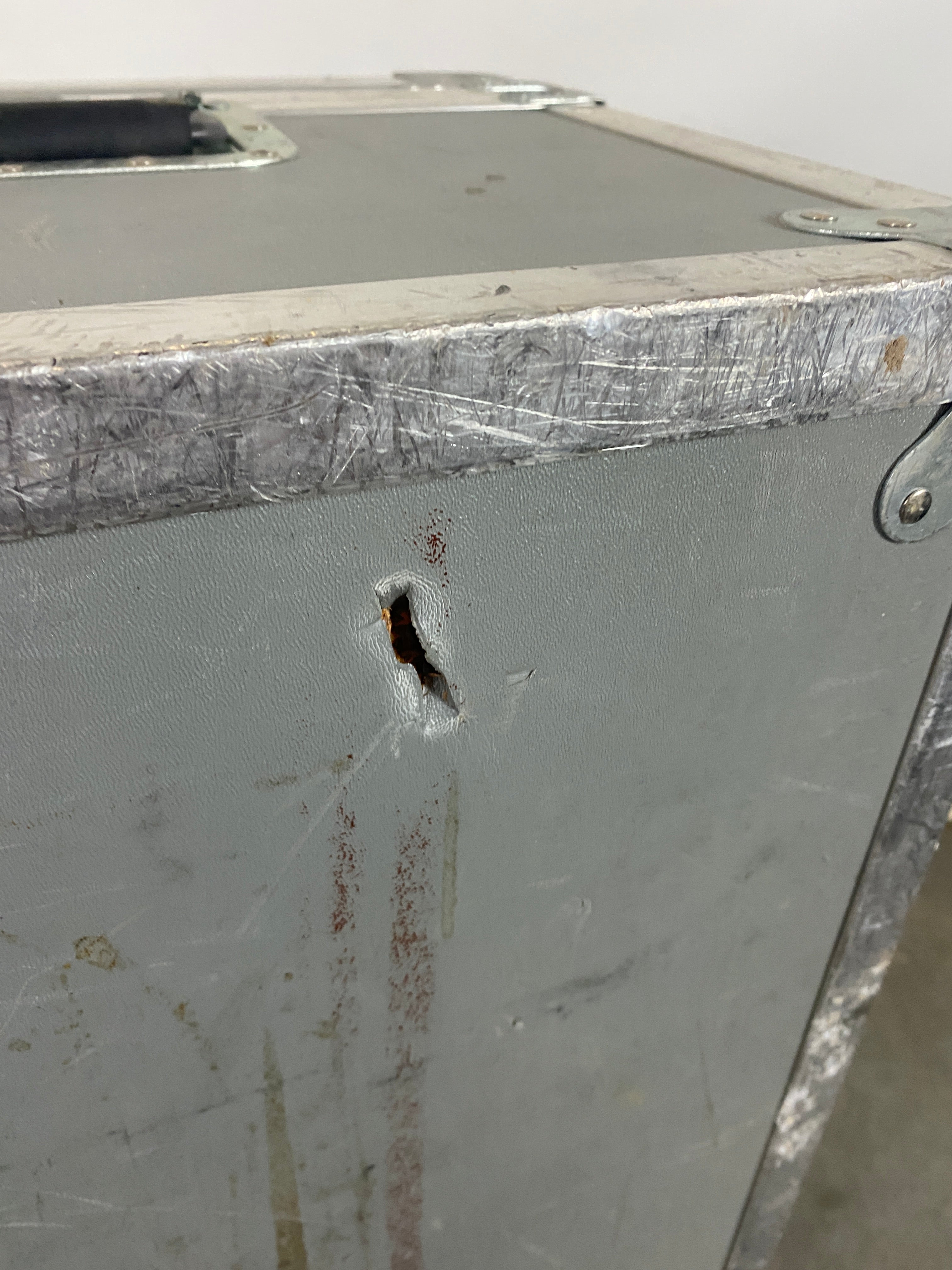 Cabbage Cases Metal Storage Case w/ Handles