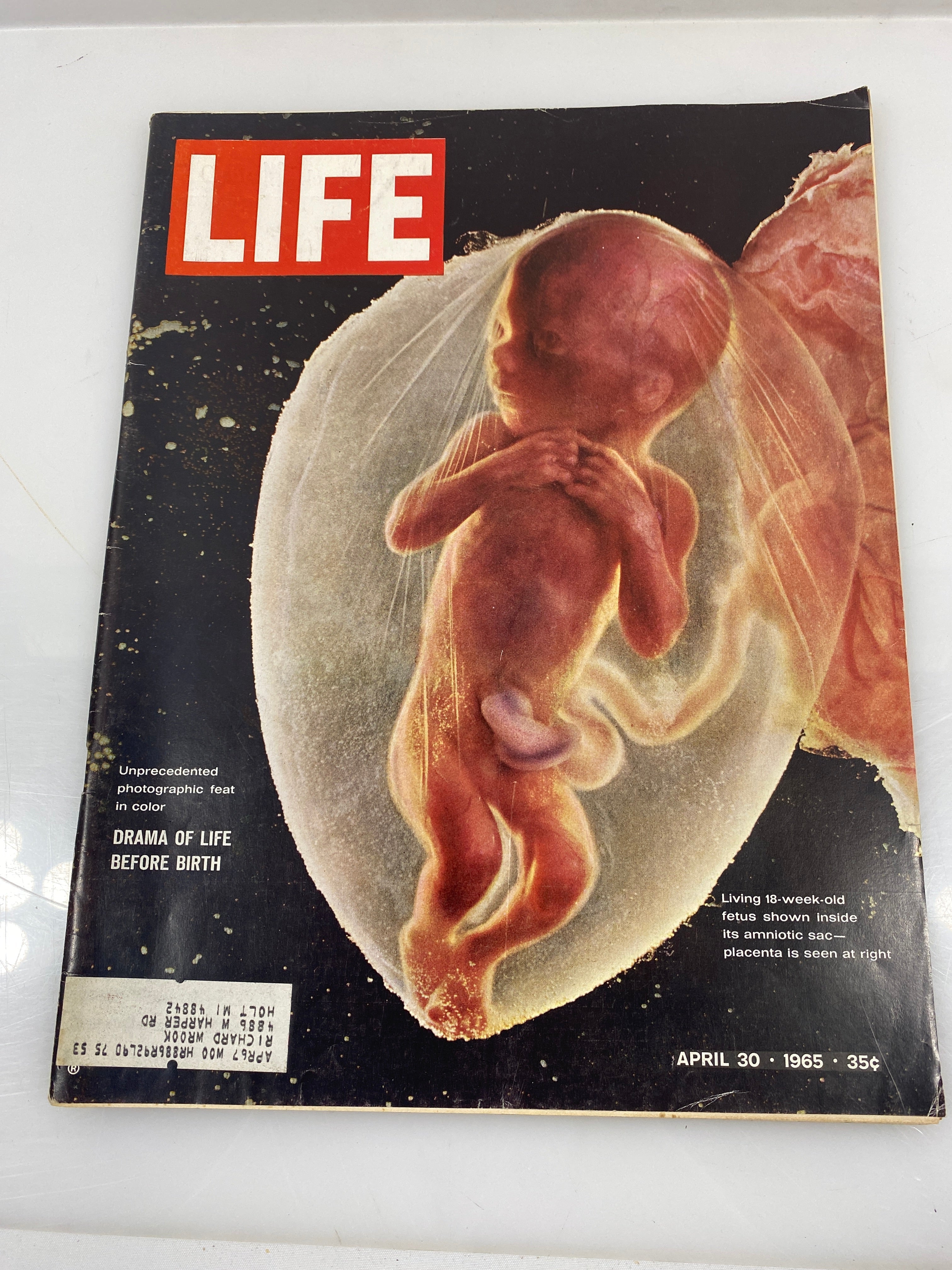 Life Magazine Drama Before Birth April 30, 1965