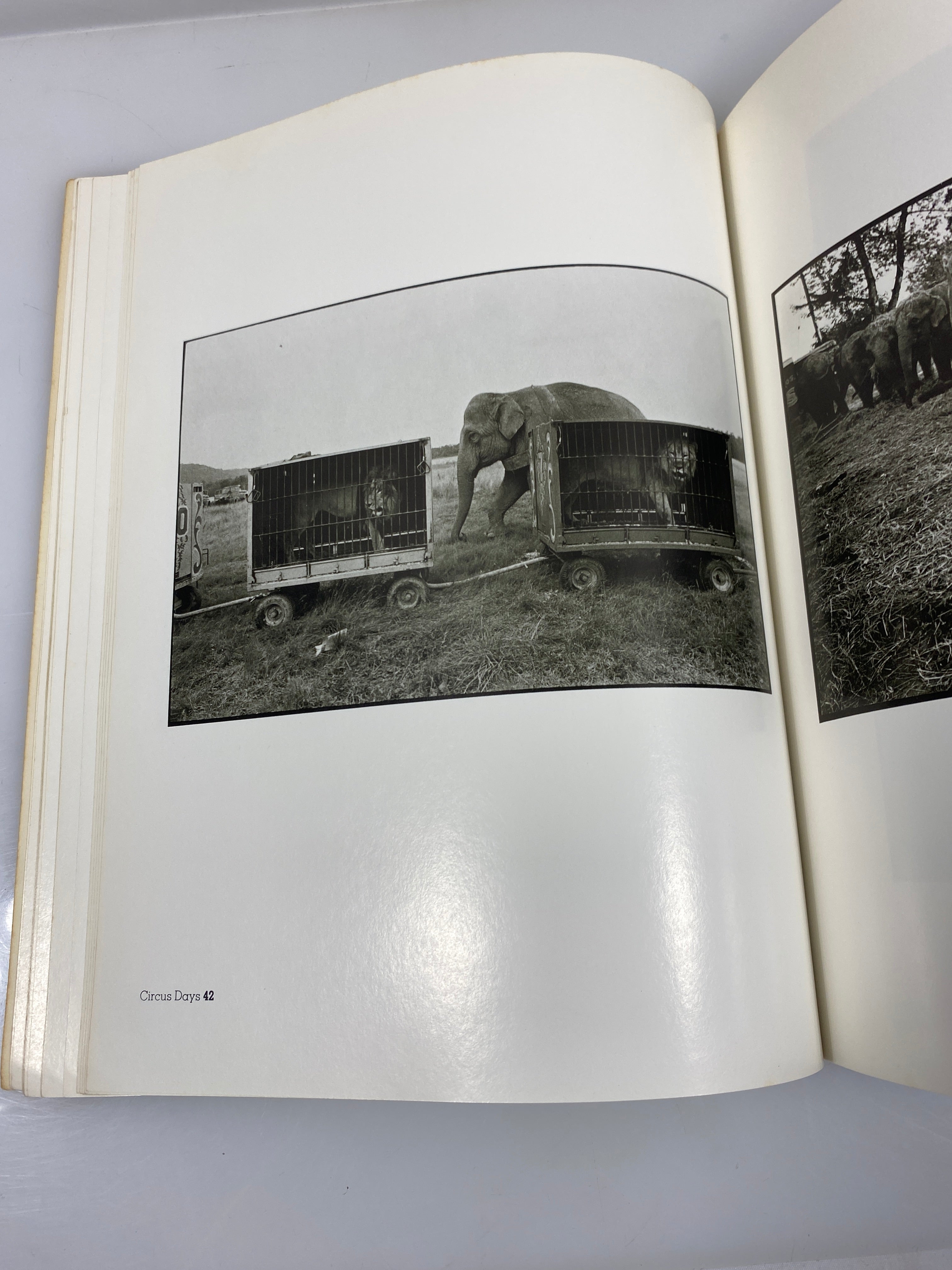 Circus Days by Jill Freedman Harmony Books 1975 SC