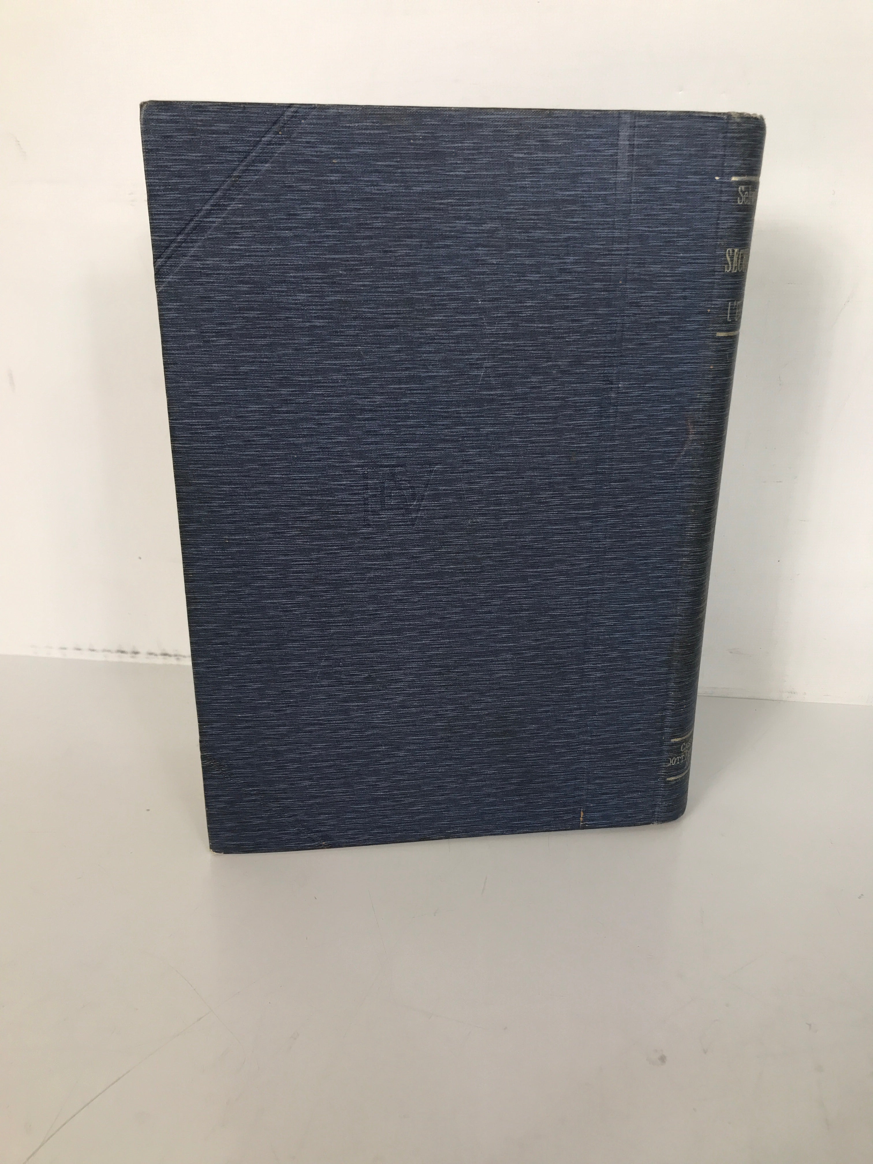 Il Secolo Del Ferro (The Iron Century)  c1880 HC