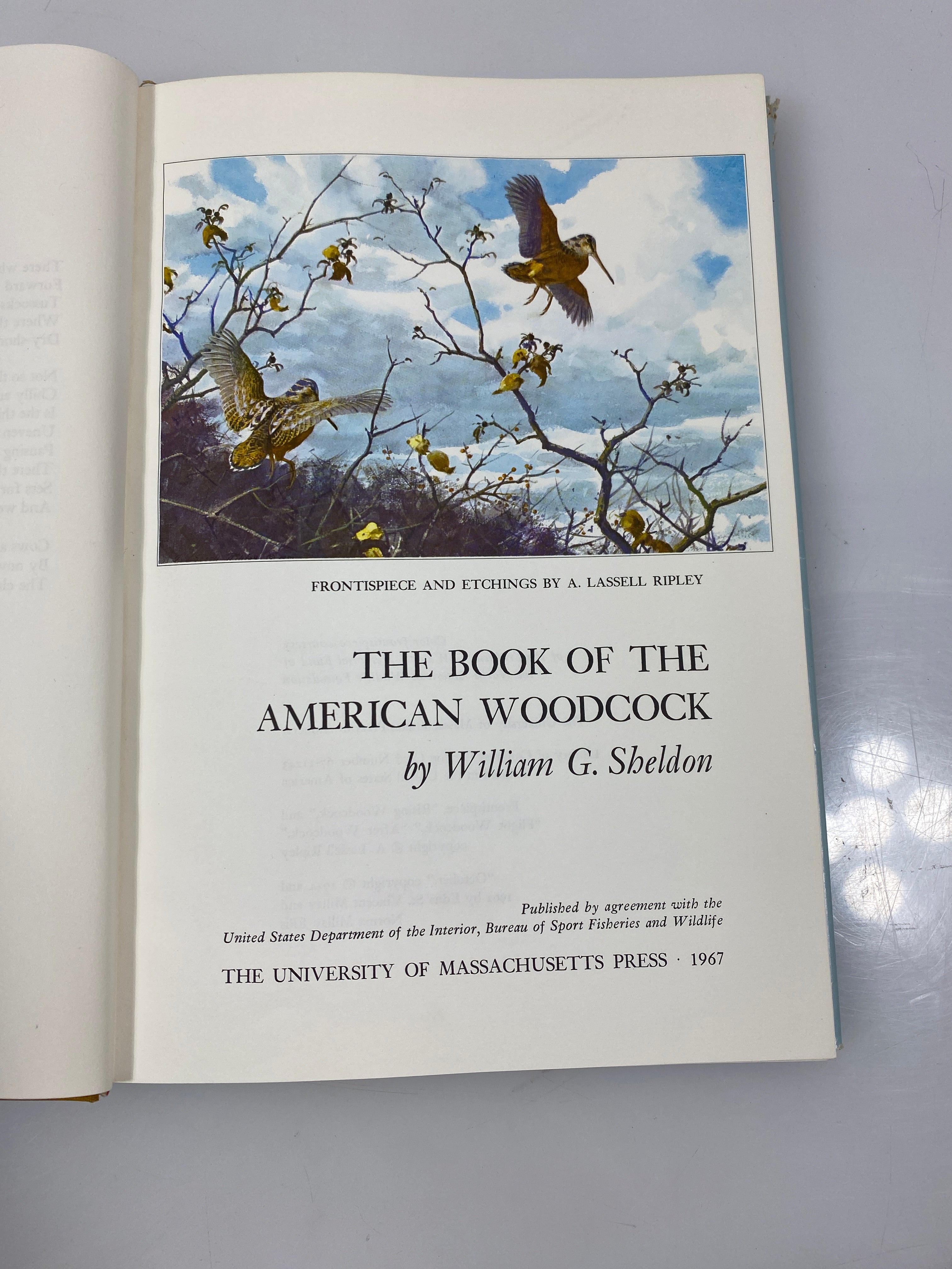 The Book of the American Woodcock by Sheldon 1967 HCDJ