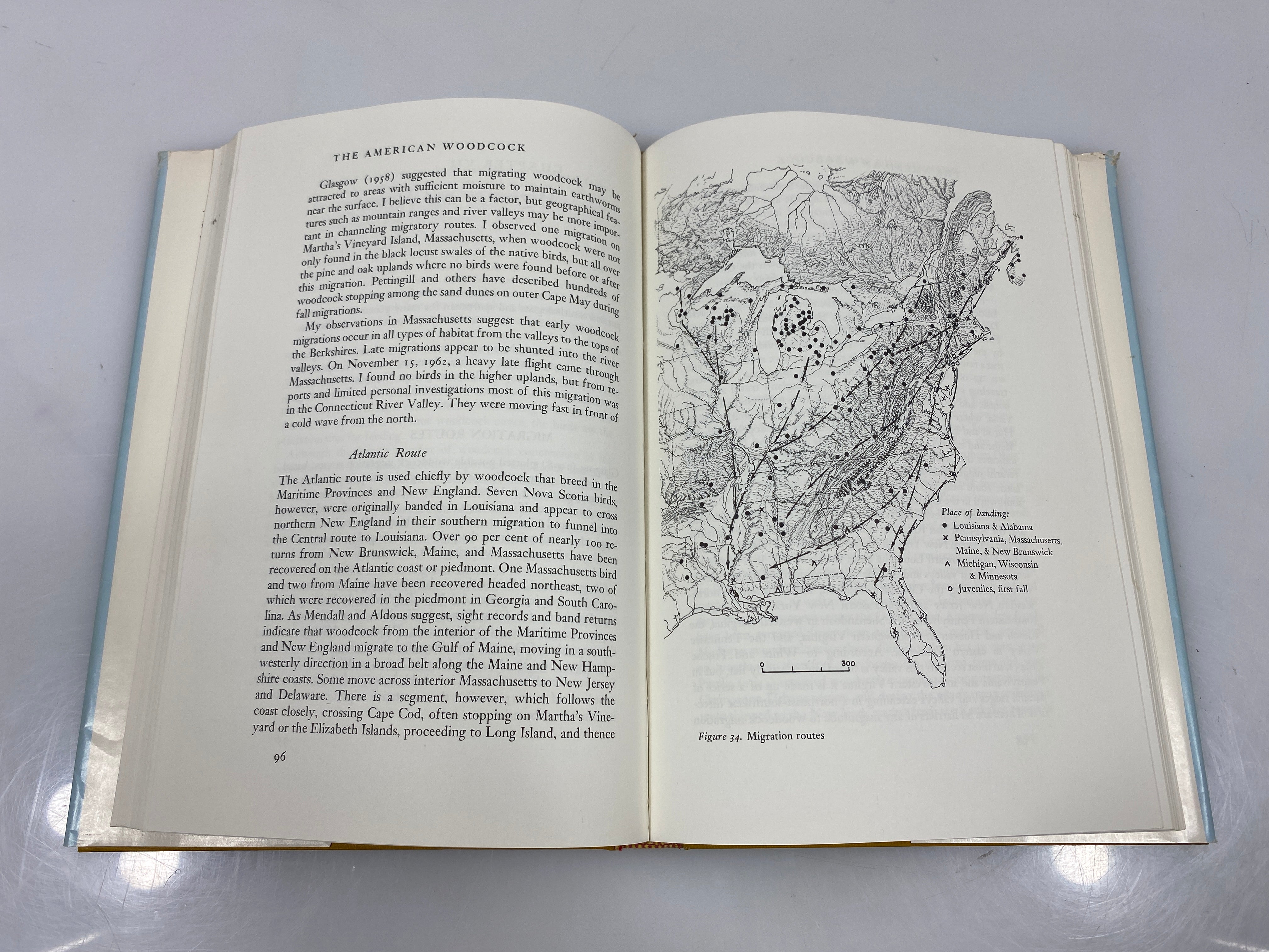 The Book of the American Woodcock by Sheldon 1967 HCDJ