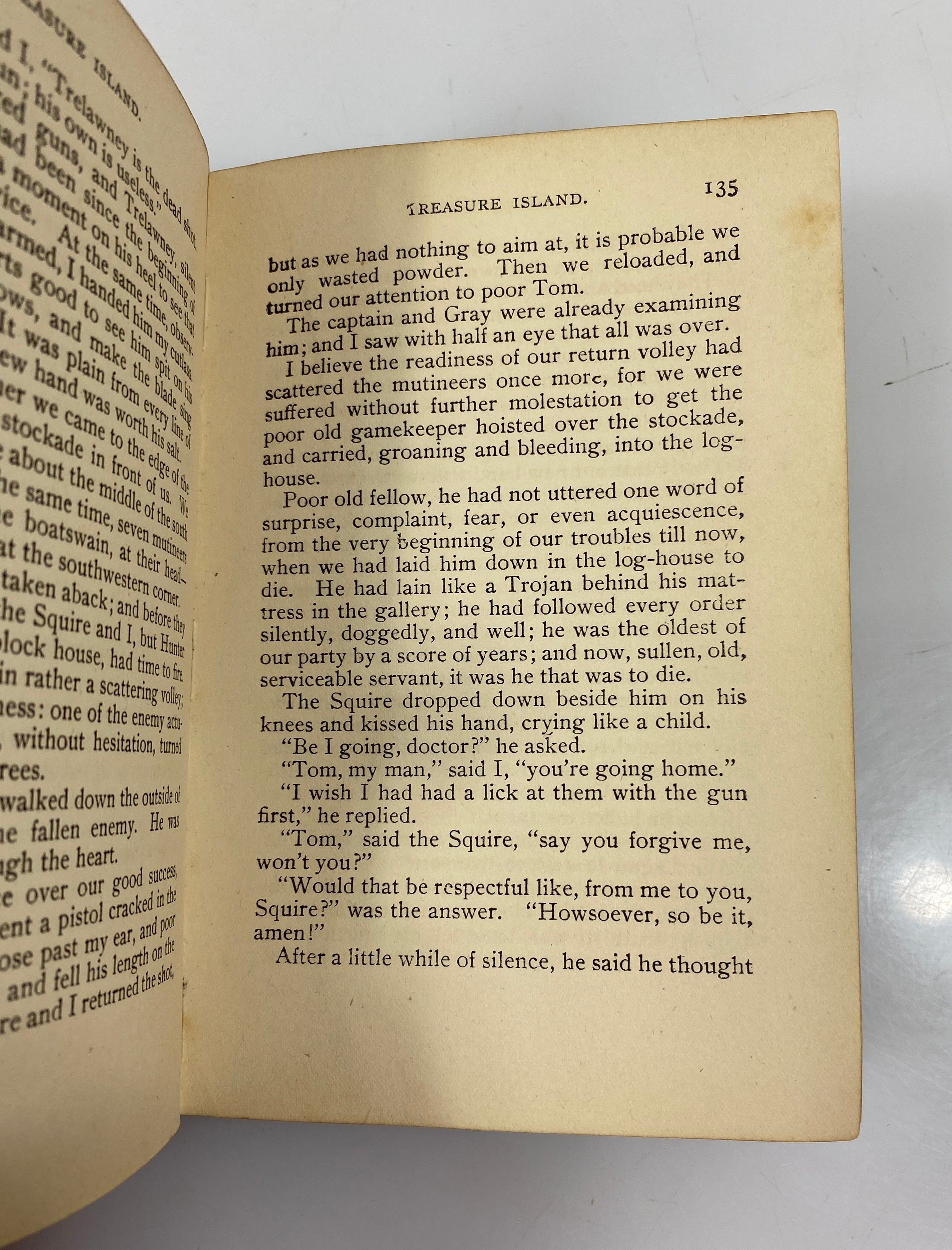 Treasure Island Robert L. Stevenson Henry Altemus Company HC
