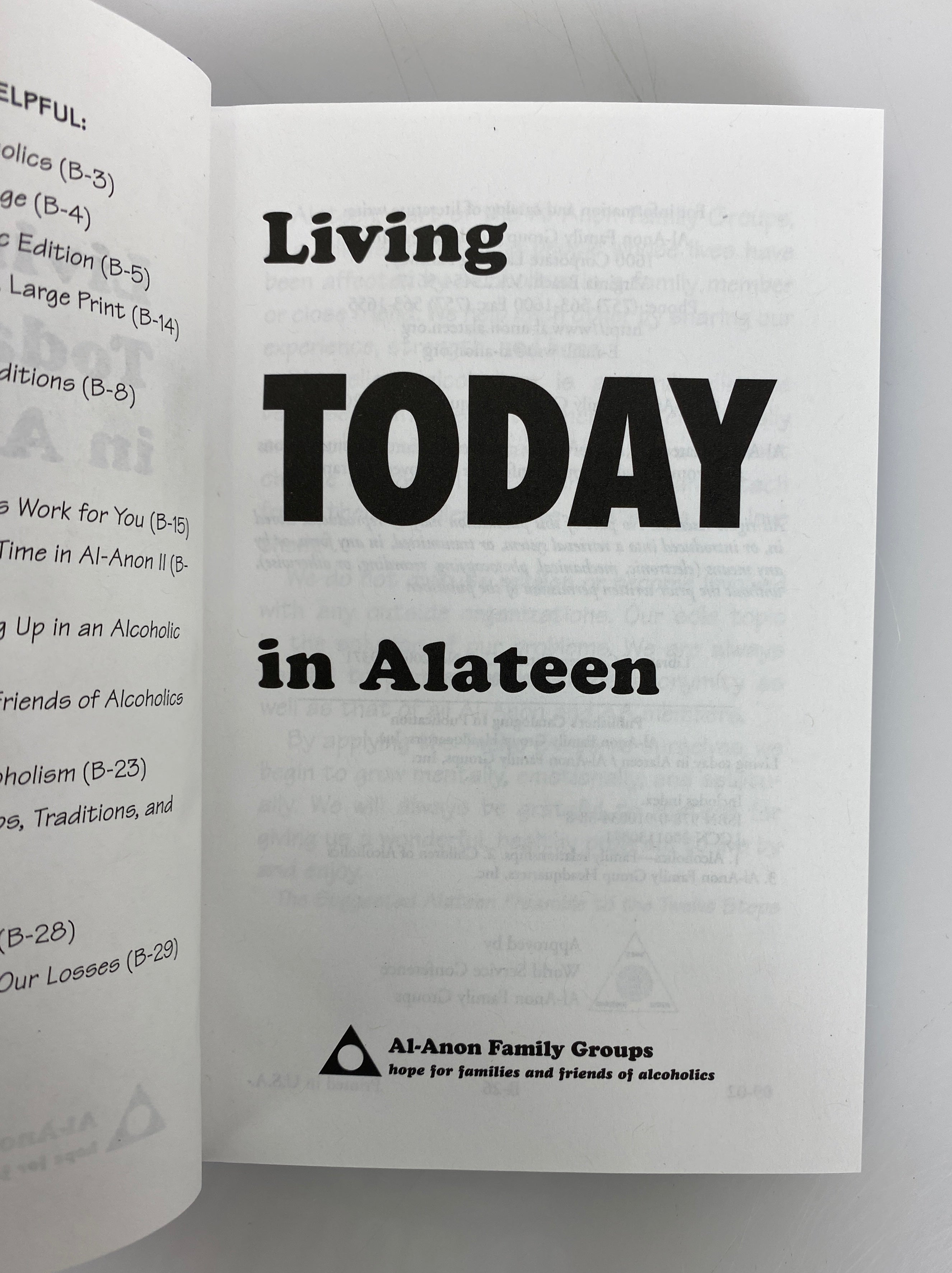4 Al-Anon Family Groups Books Alateen/Courage to be Me/A Day at a Time 1983-2003