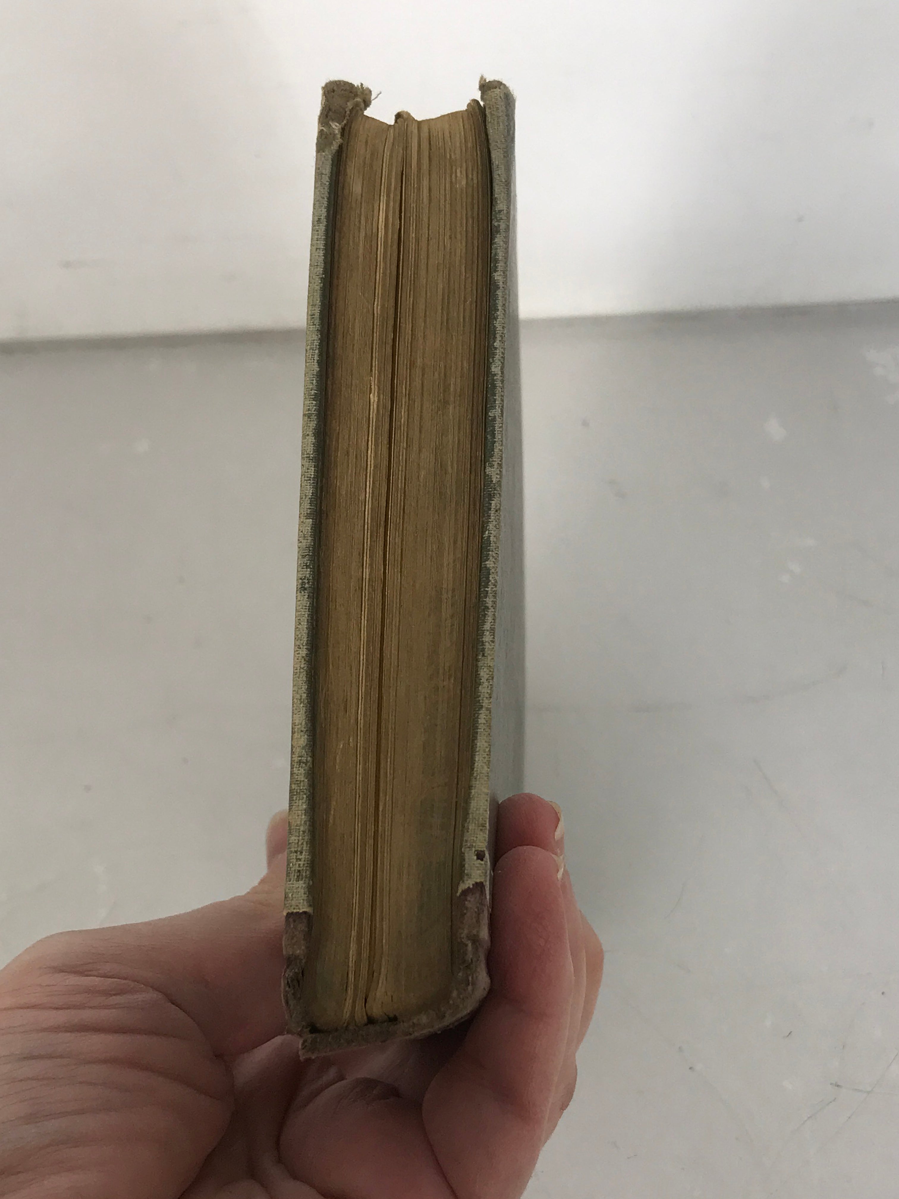 Steele's Sciences Hygienic Physiology by Joel Dorman Steele 1888 HC