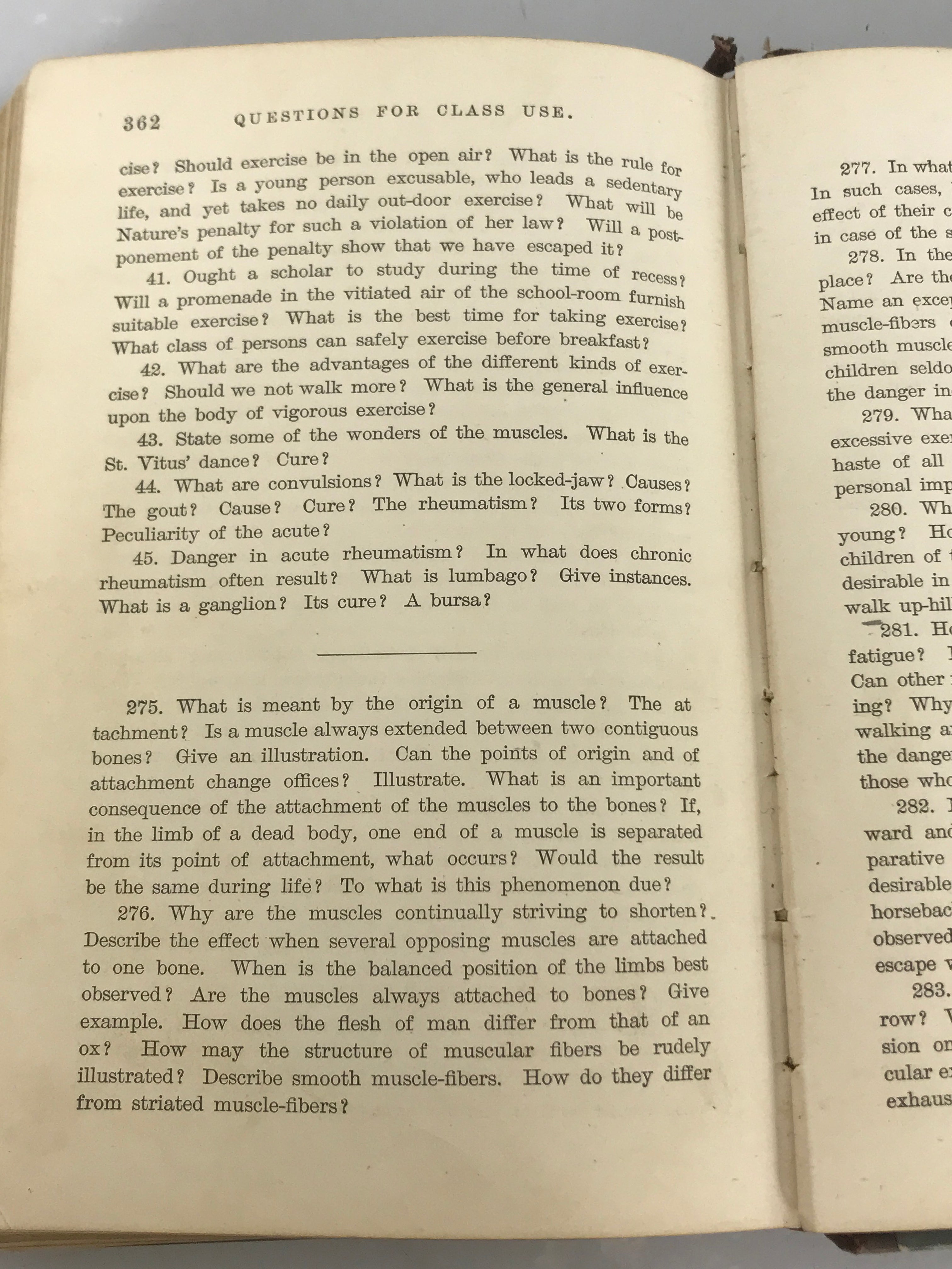 Steele's Sciences Hygienic Physiology by Joel Dorman Steele 1888 HC