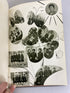 1965 Hiroshima Jogakuin University Yearbook "Cum Deo Laboramus" Hiroshima Japan