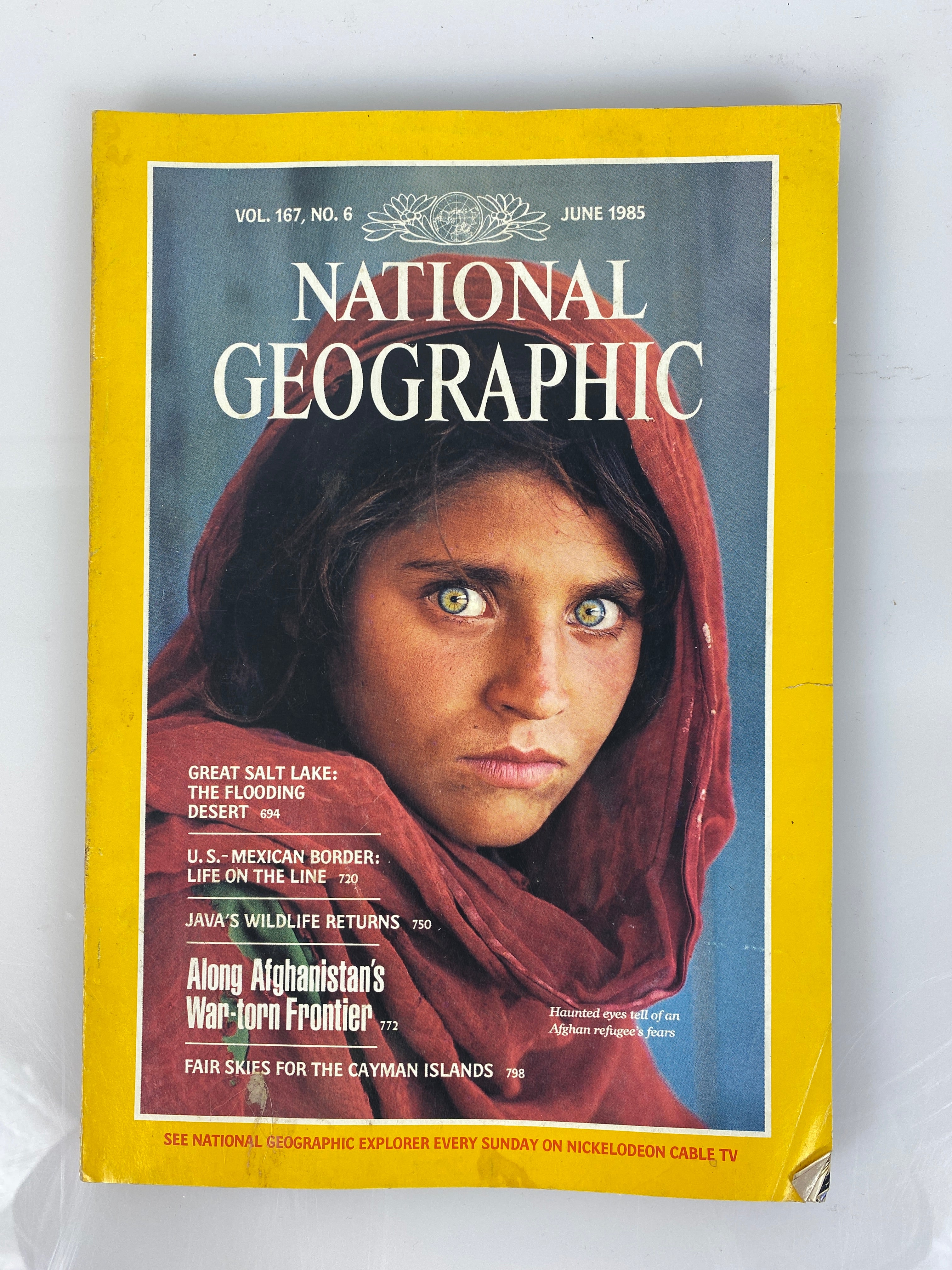National Geographic Volume 167, No. 6 June 1985