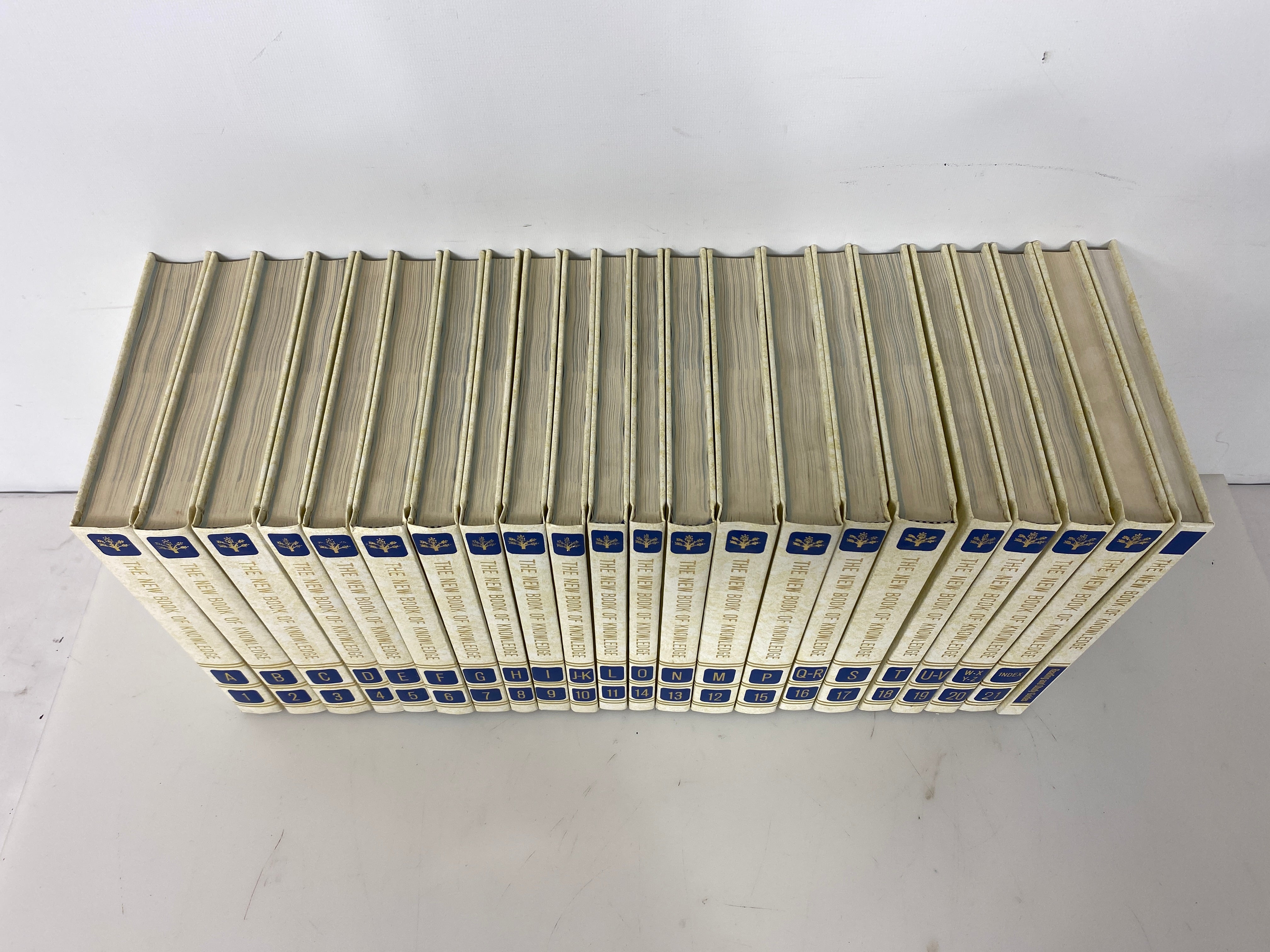 Set of 22: The New Book of Knowledge 1996 HC
