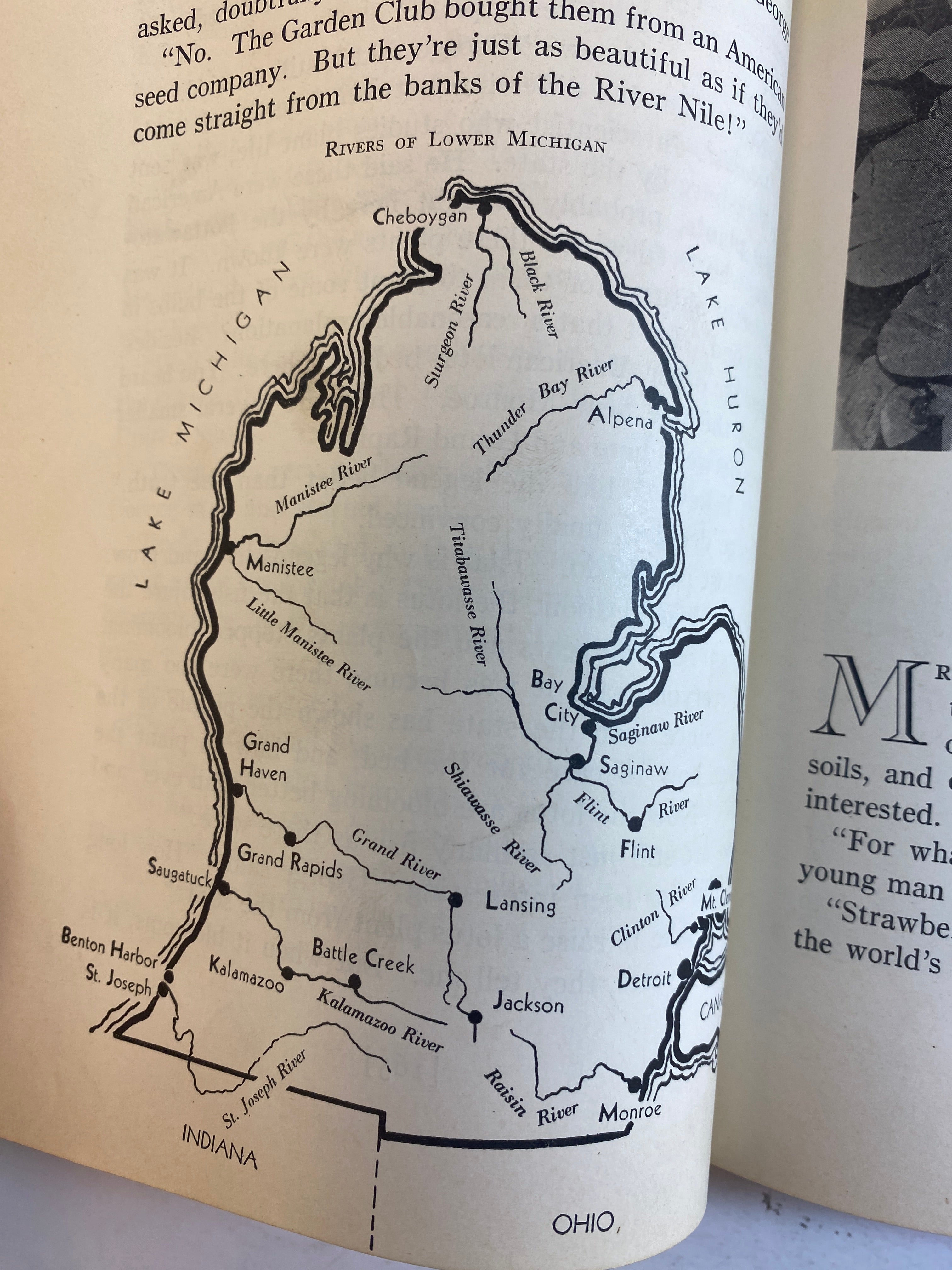 Hello Michigan Berenice Bryant Lowe HC 1939