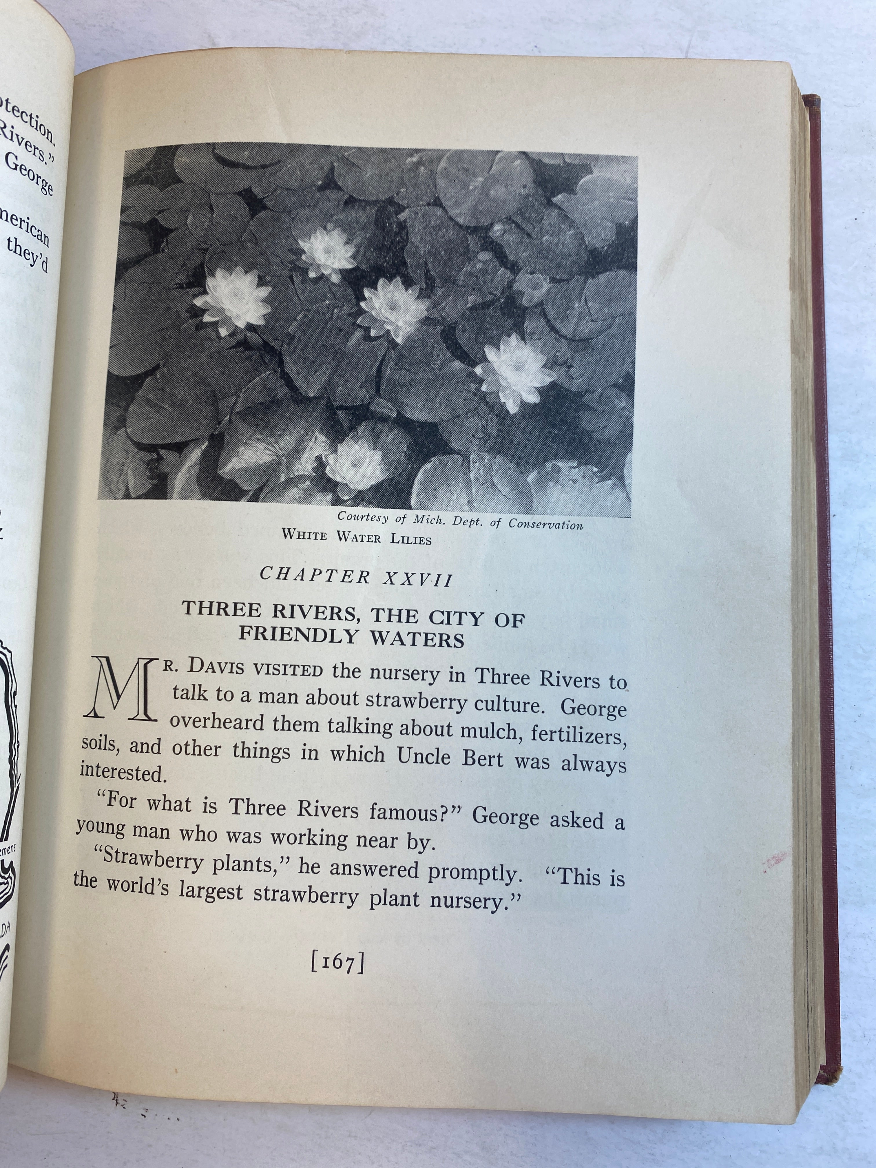Hello Michigan Berenice Bryant Lowe HC 1939