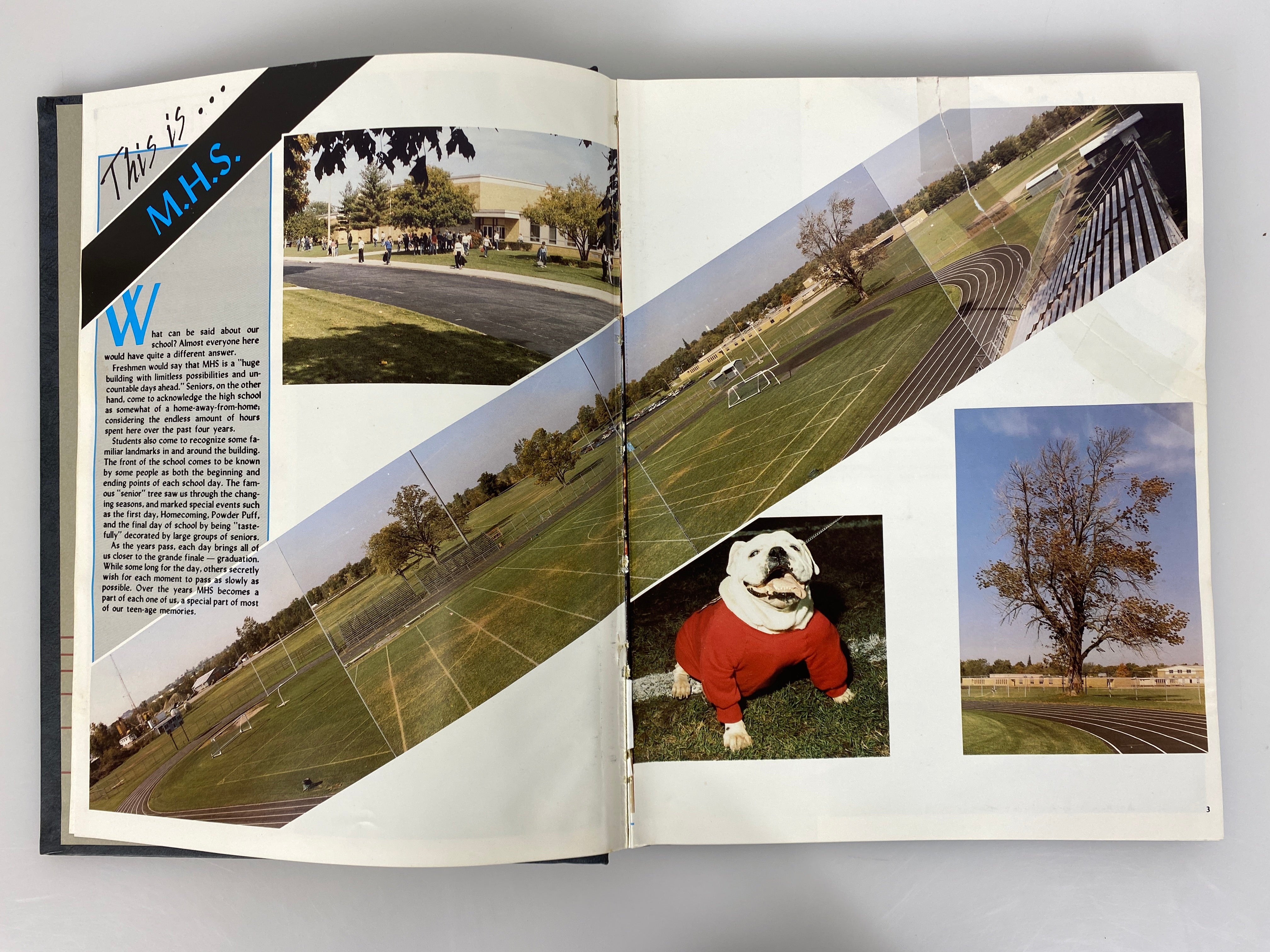 1986 Mason High School Yearbook "Anchora" Mason Michigan HC