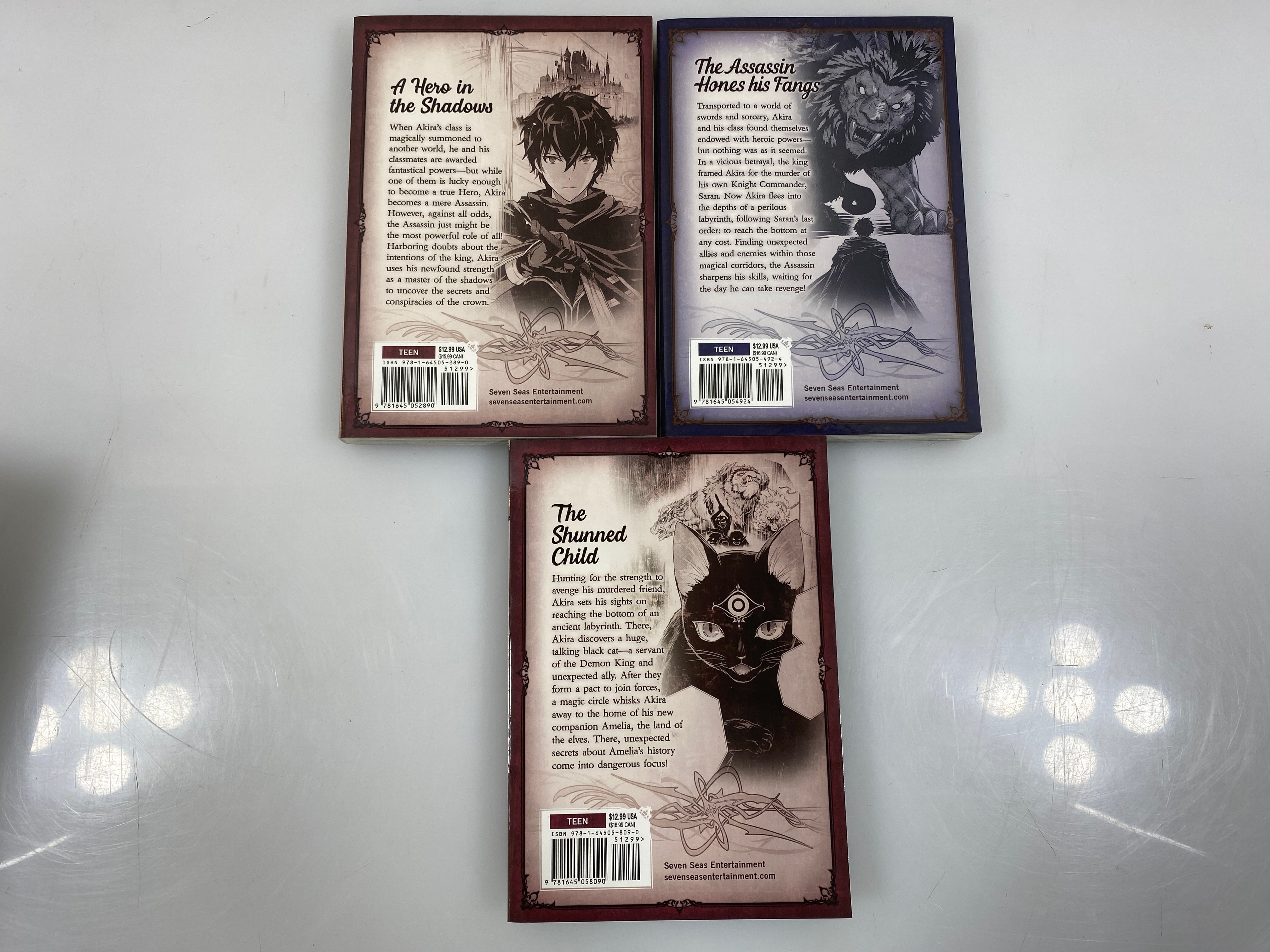 Lot of 3 Status as an Assassin Exceeds the Hero's Manga 2020