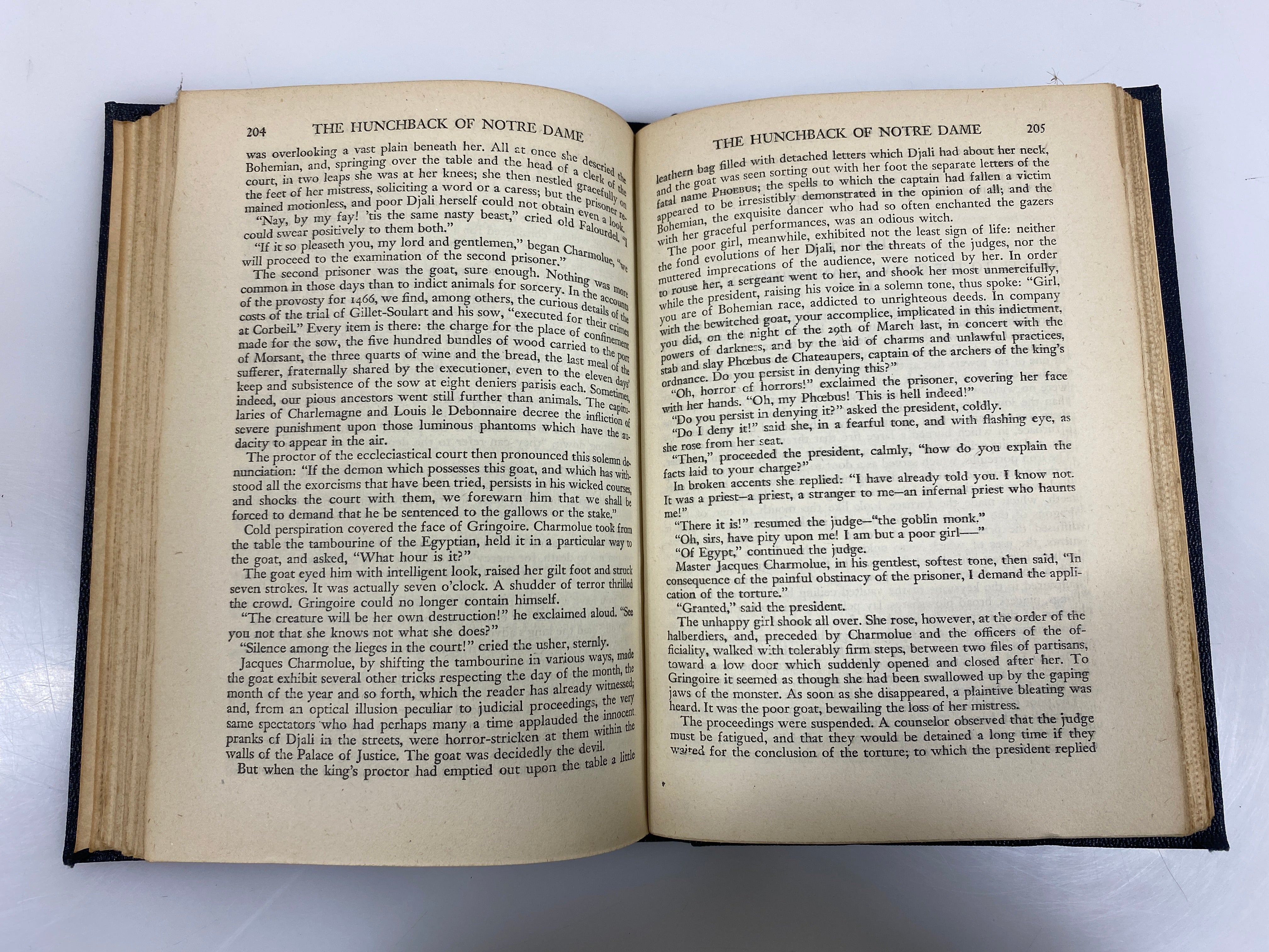 The Hunchback of Notre Dame by Victor Hugo HC