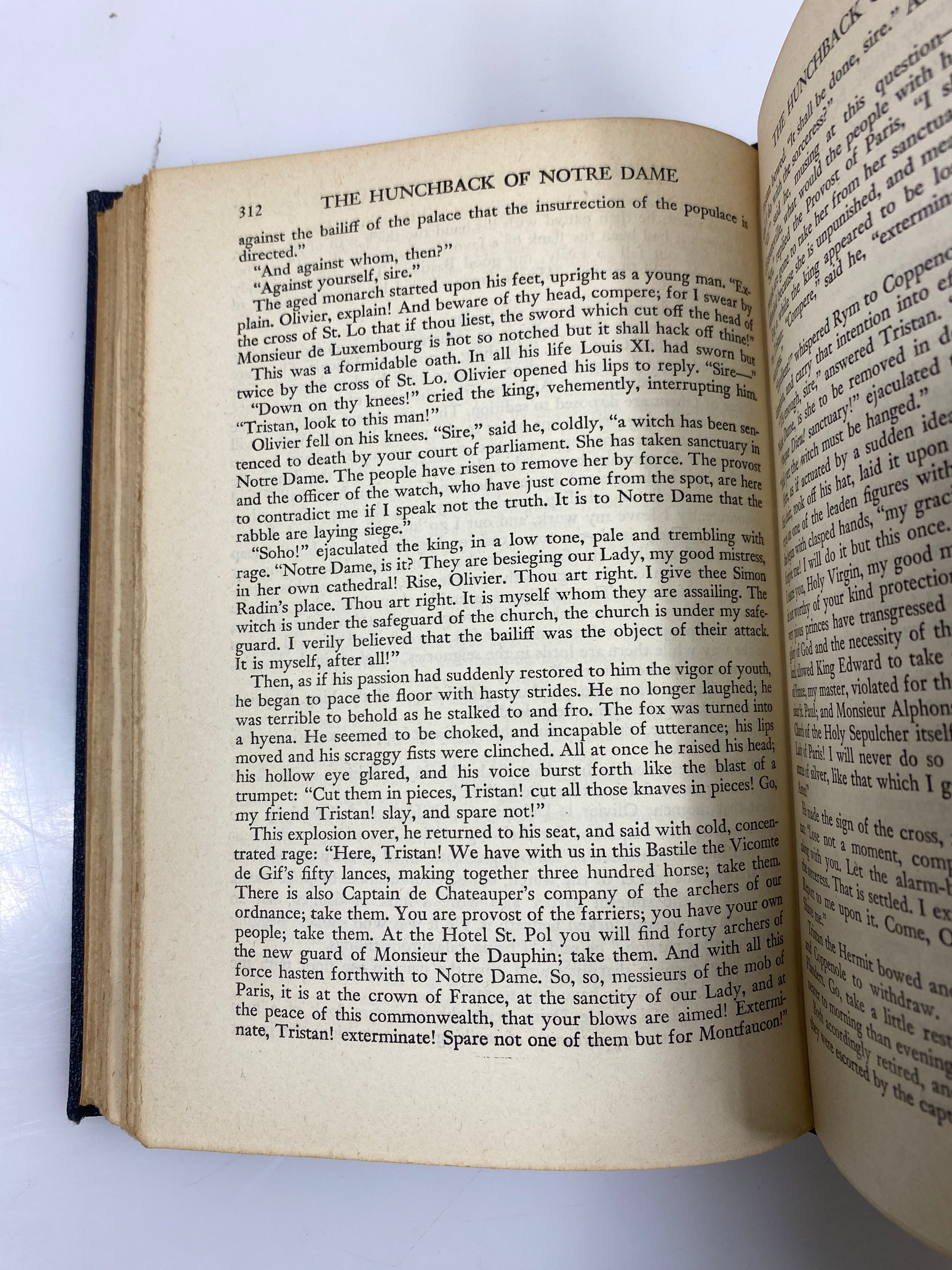 The Hunchback of Notre Dame by Victor Hugo HC