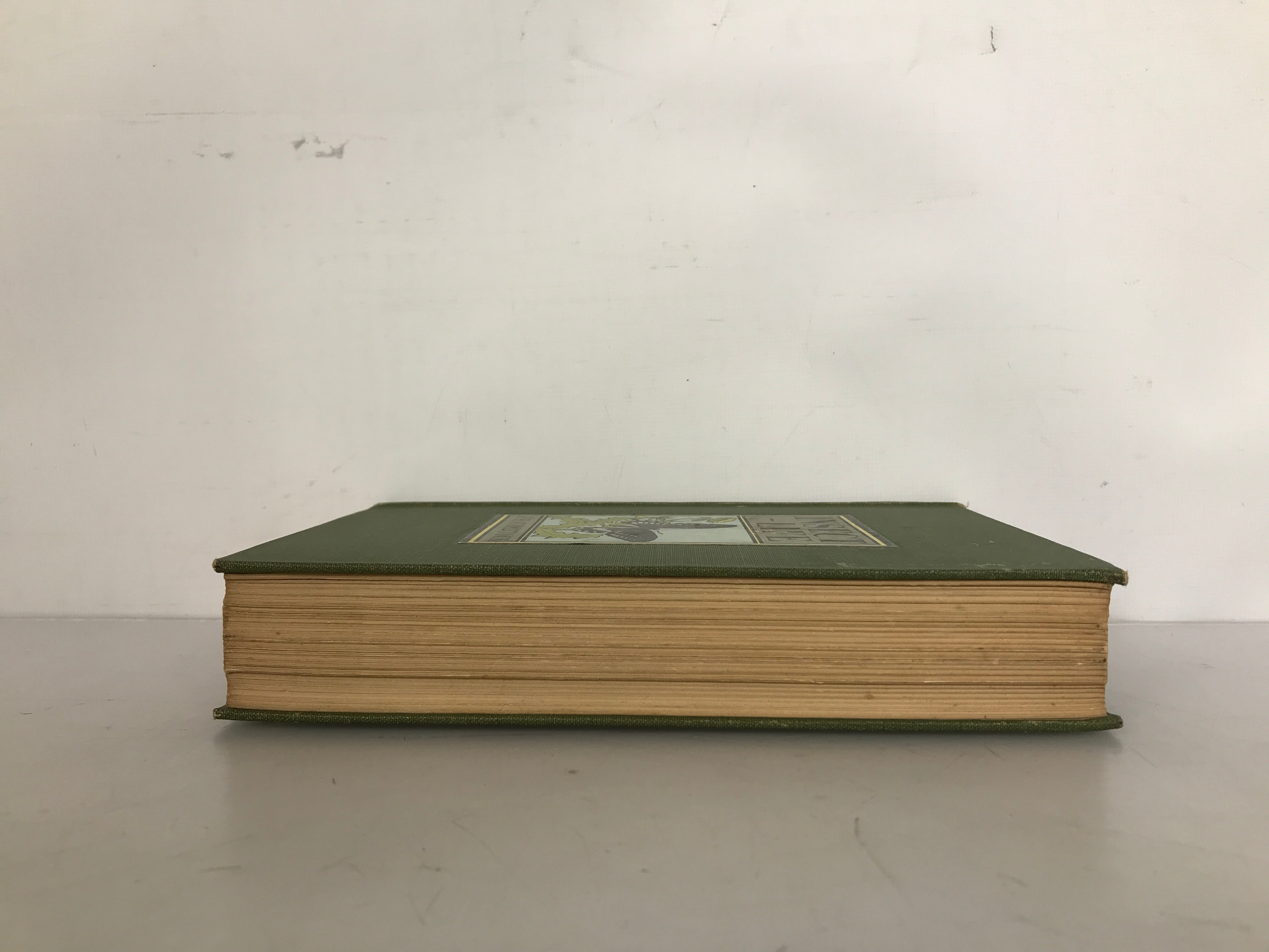 Insect Life an Introduction to Nature-Study by J.H. Comstock 1910 HC