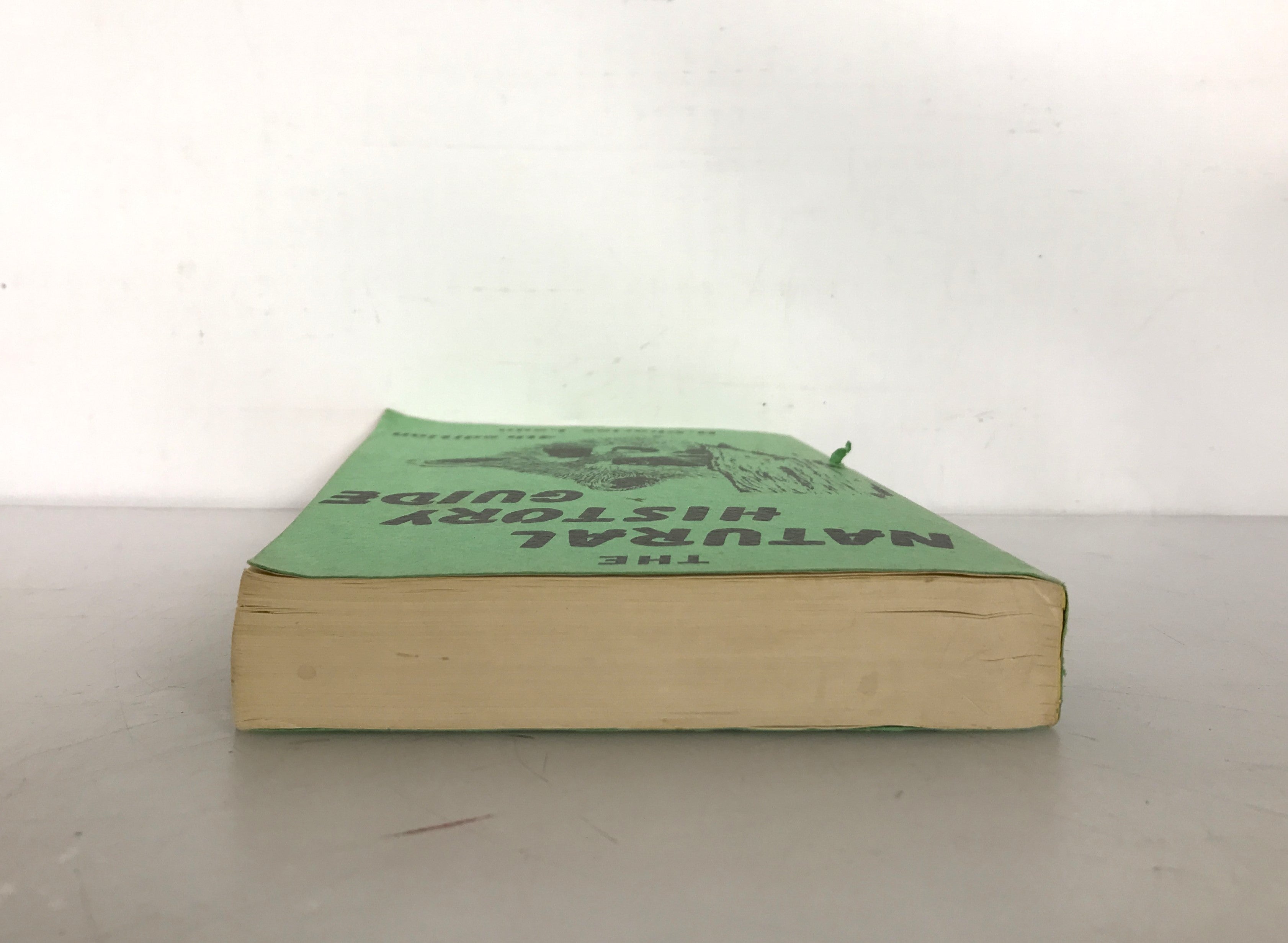 Beginner's Guide to Wild Flowers 4th Impression Ethel Hinckley Hausman 1948 SC