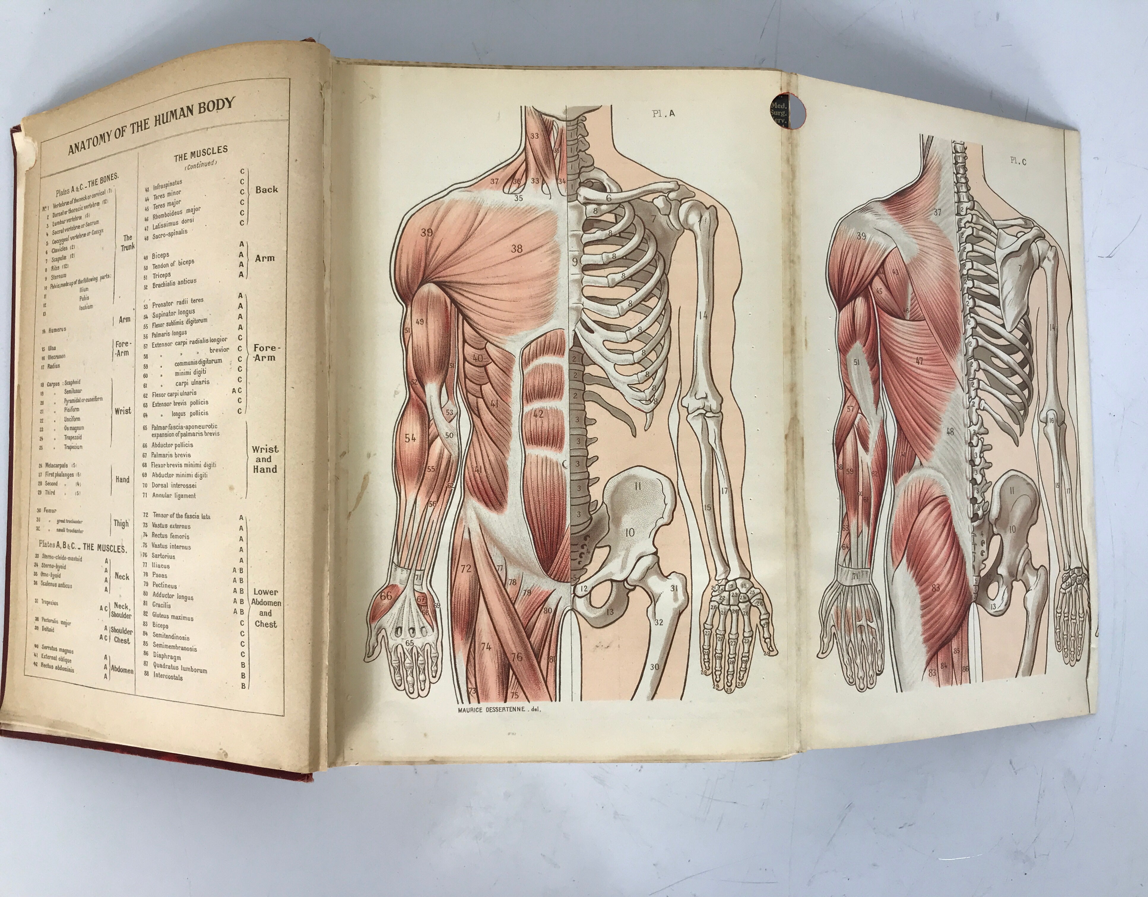 Lippincott's Quick Reference Guide Medicine & Surgery 1920 HC
