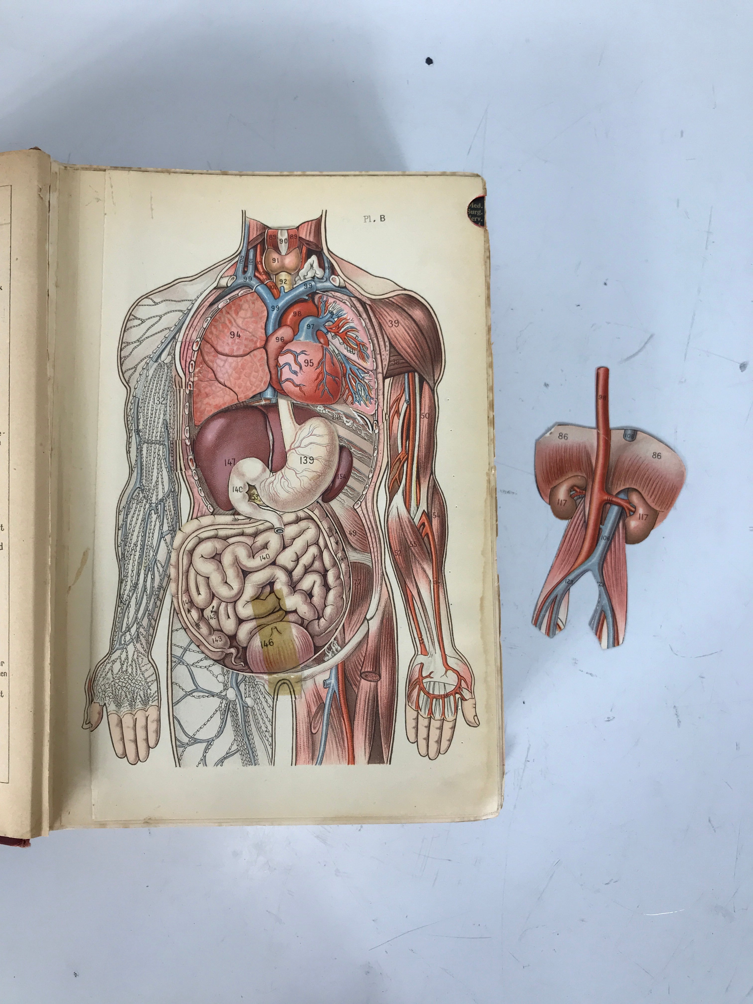 Lippincott's Quick Reference Guide Medicine & Surgery 1920 HC