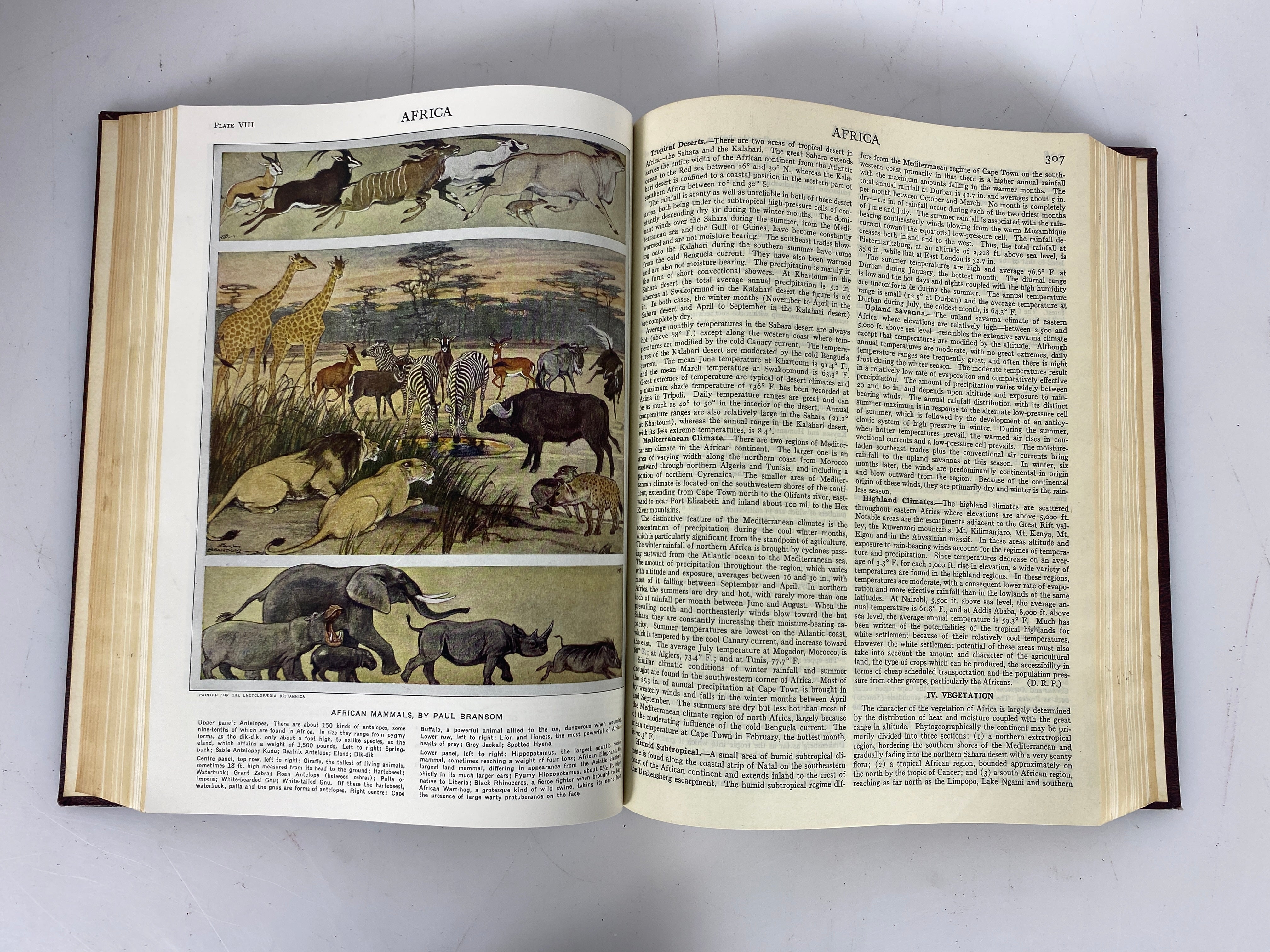 Lot of 21: Encyclopedia Britannica 1-12, 14-22 1957 HC