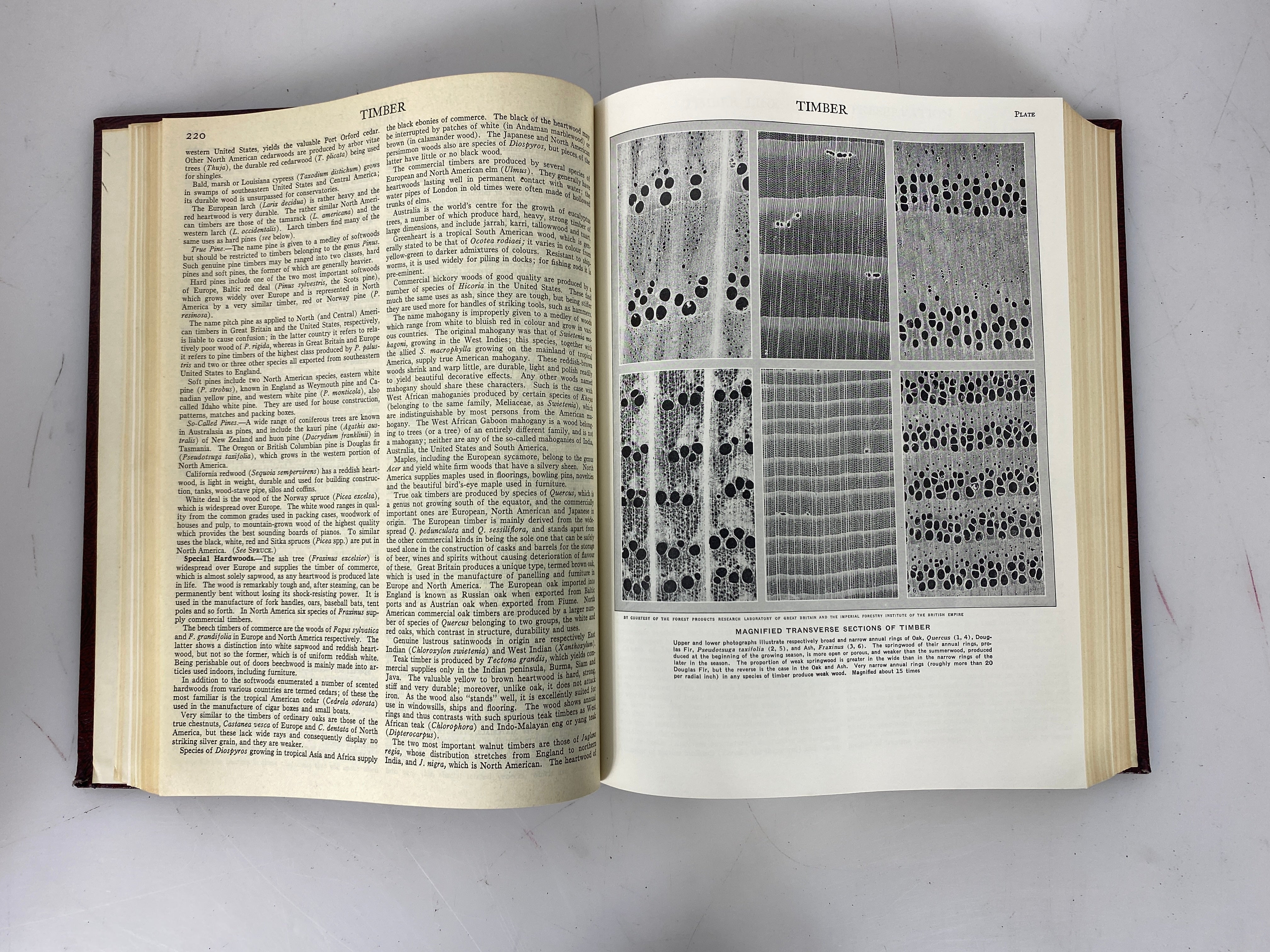 Lot of 21: Encyclopedia Britannica 1-12, 14-22 1957 HC