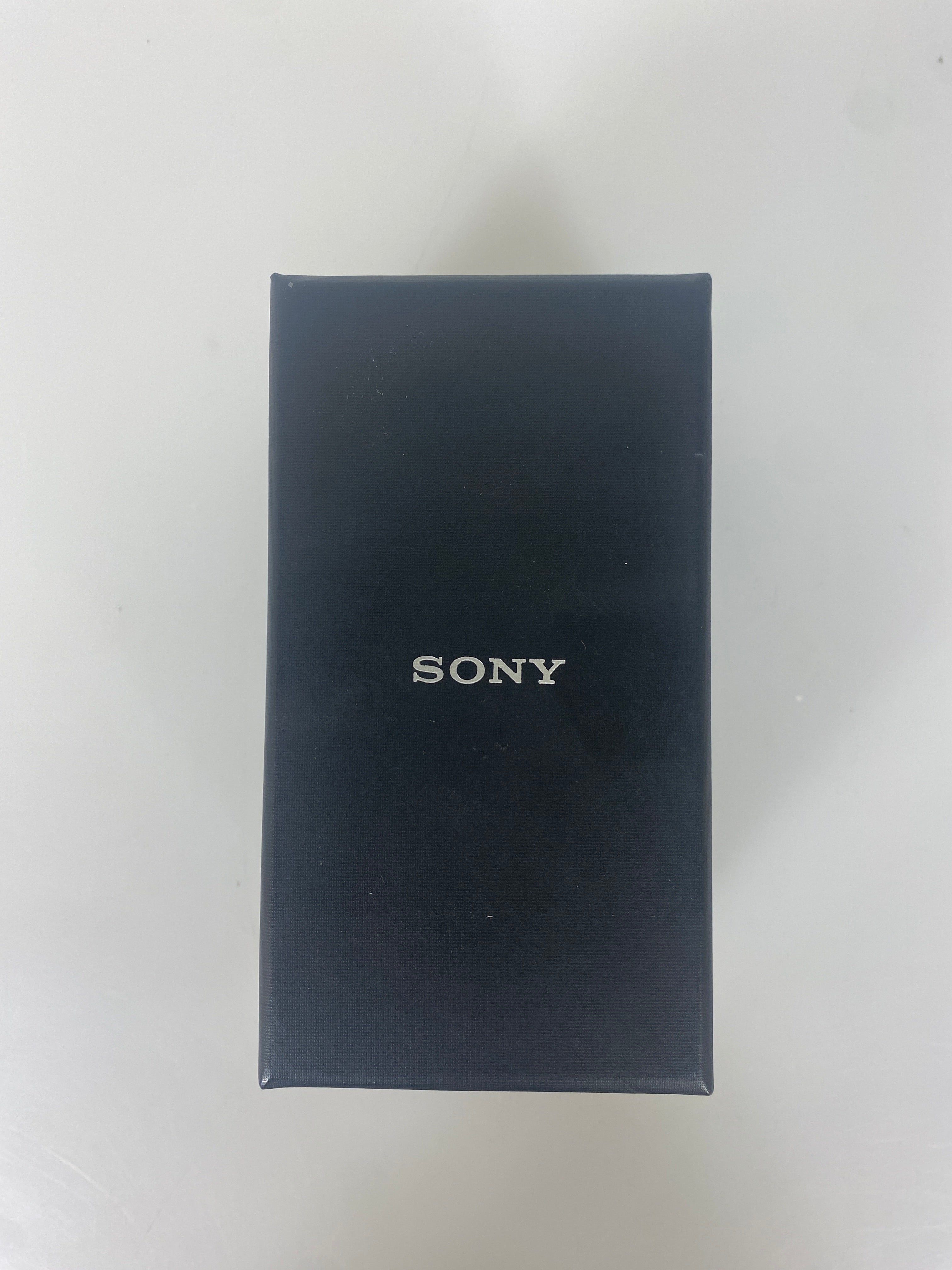 Sony Bloggie Touch Camera