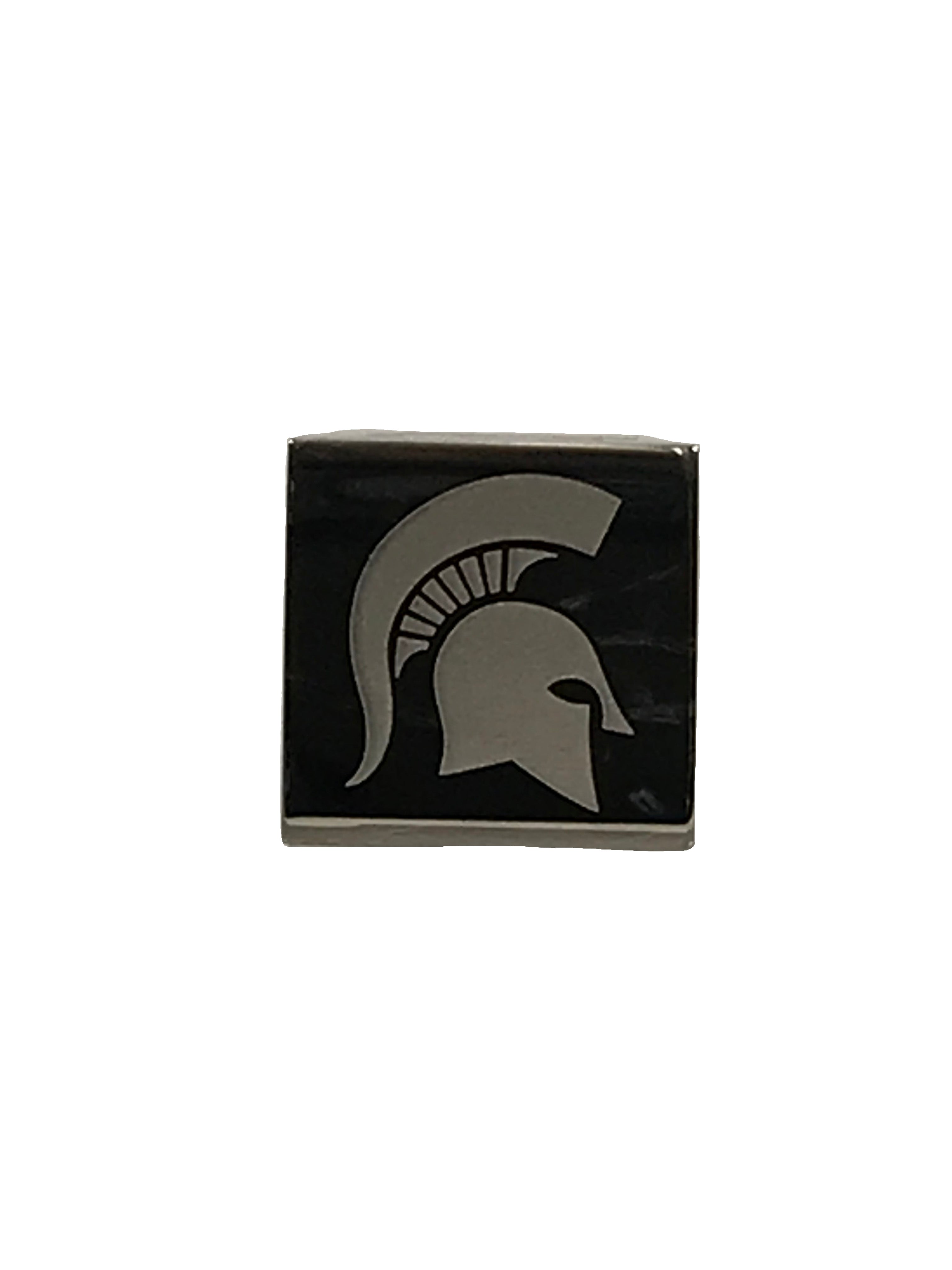 Michigan State University Charm Bracelet Bead Pack #1