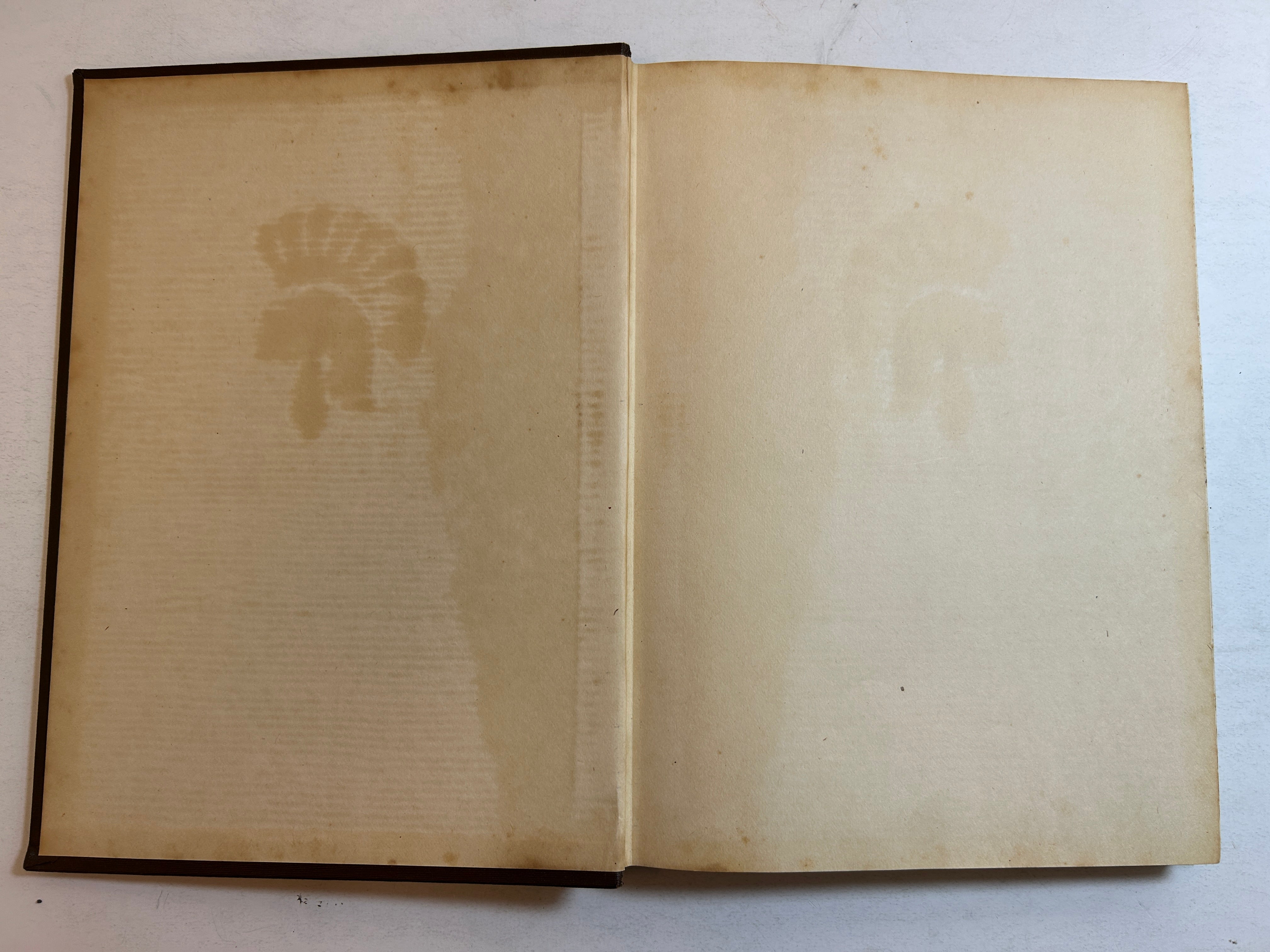 1945 Michigan State College Yearbook Wolverine