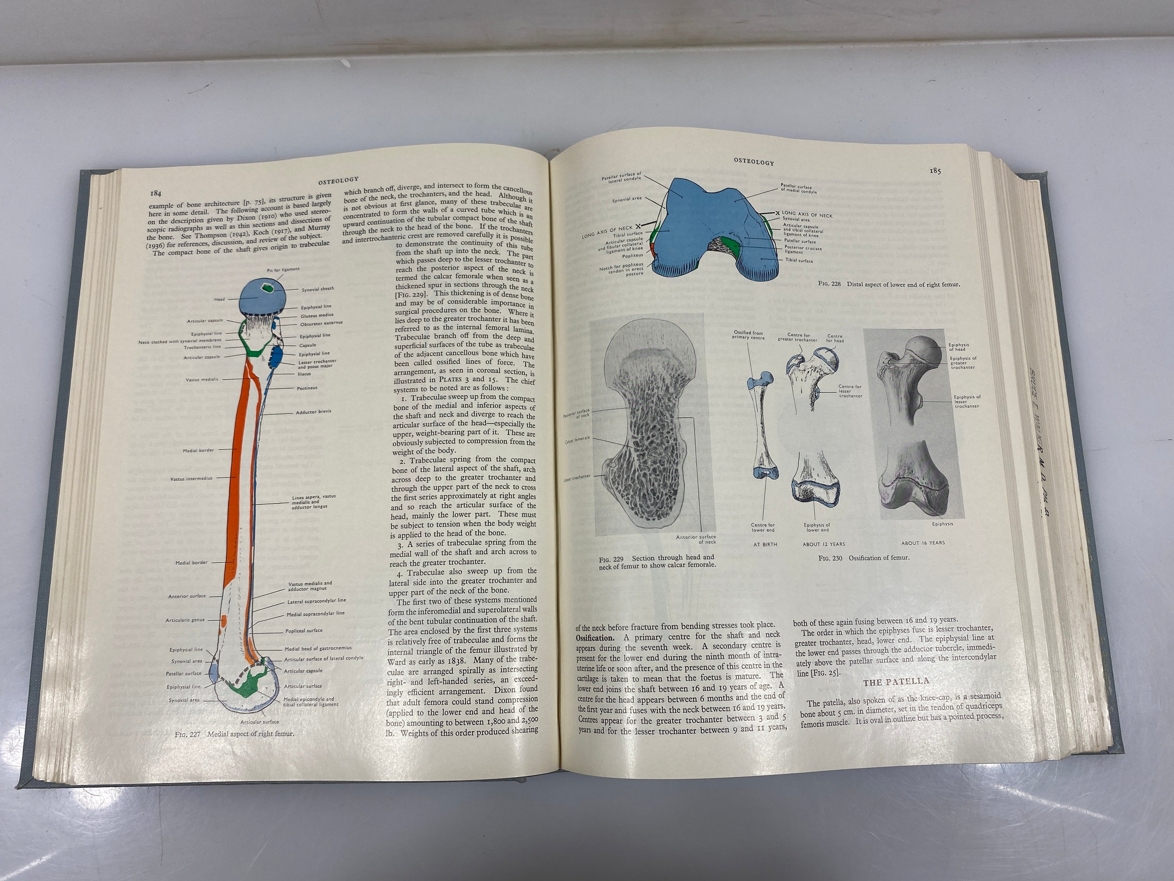 Cunningham's textbook of Anatomy by Romanes 1964 10th Ed. HC