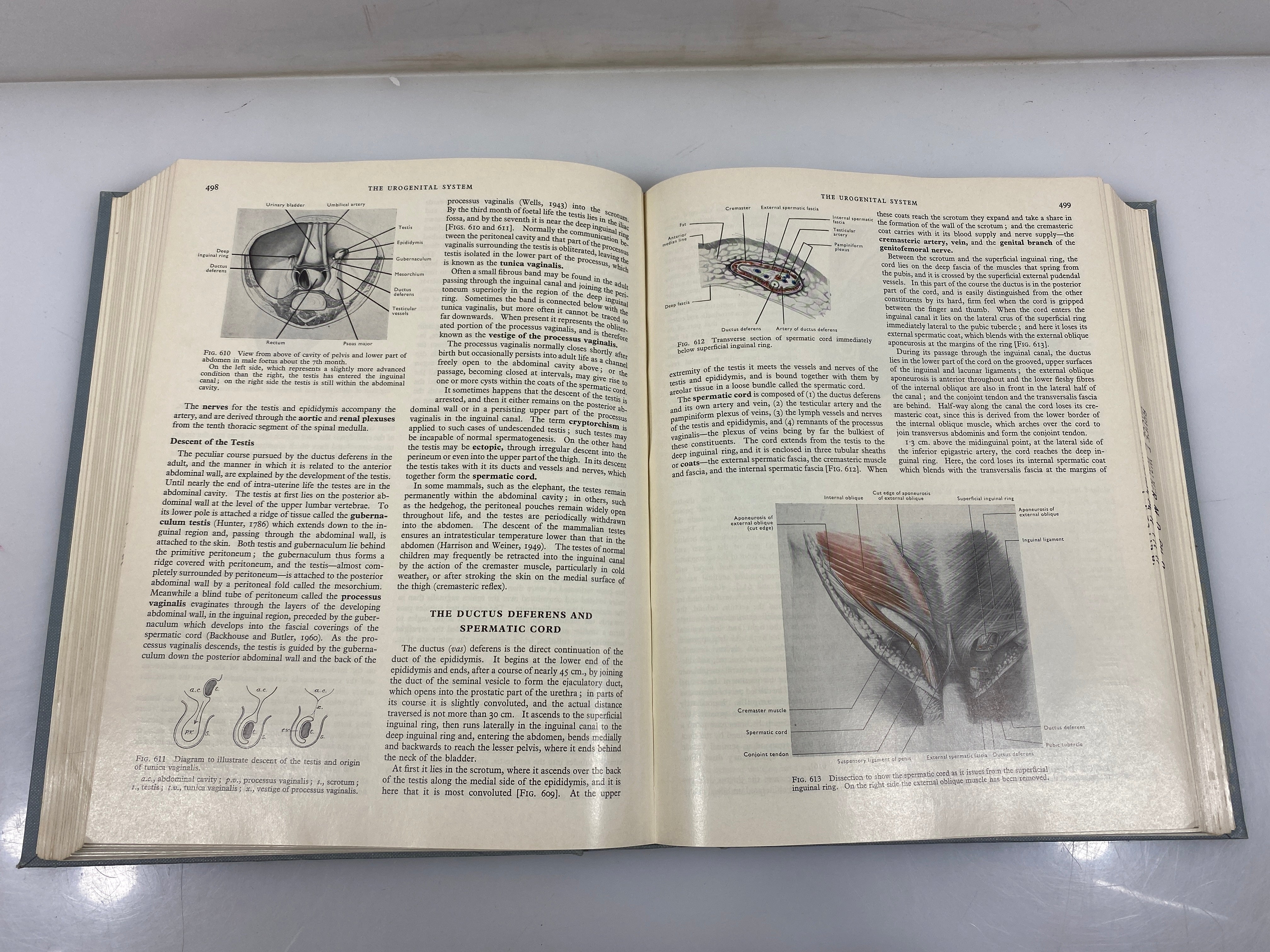 Cunningham's textbook of Anatomy by Romanes 1964 10th Ed. HC