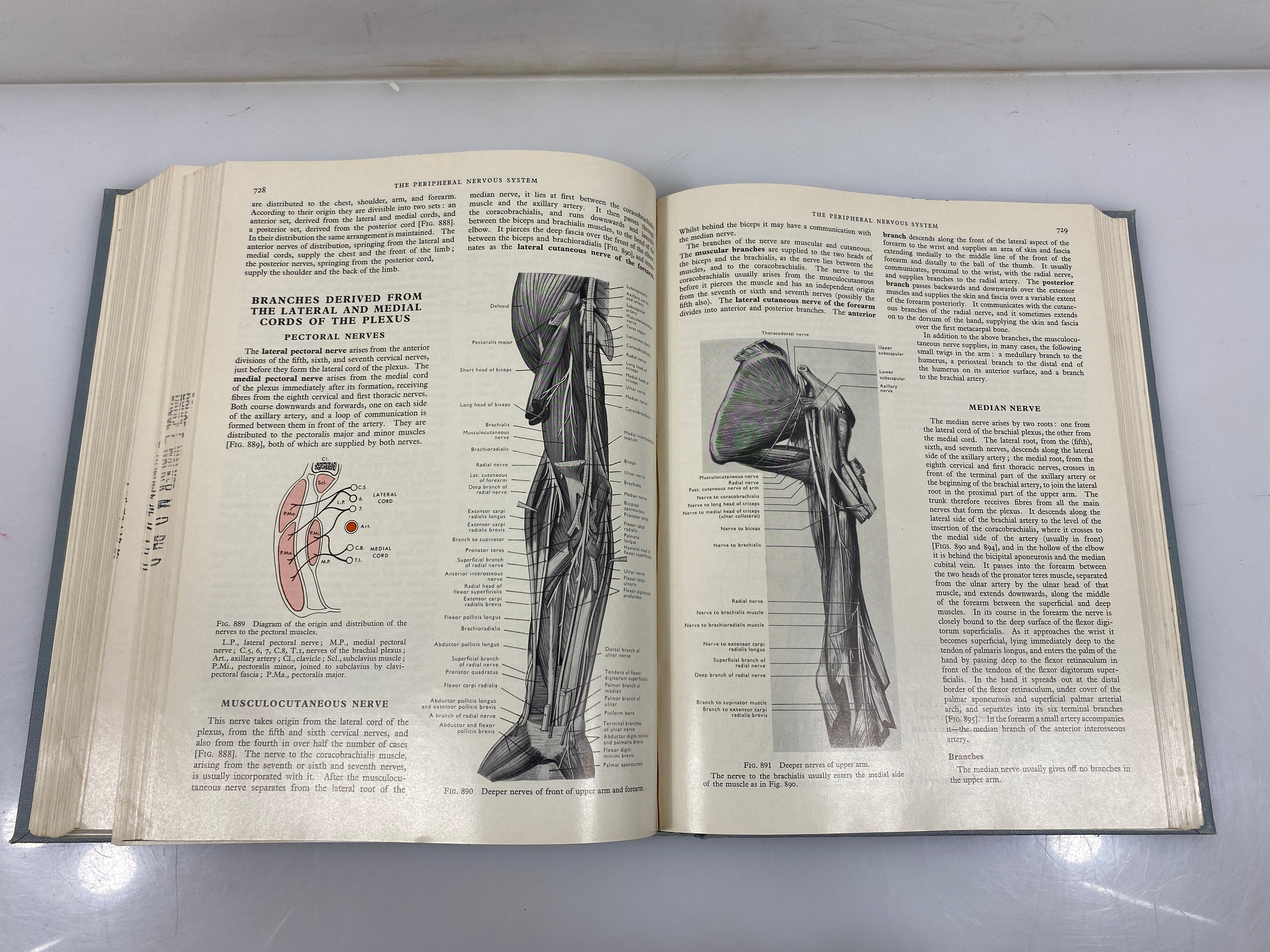 Cunningham's textbook of Anatomy by Romanes 1964 10th Ed. HC