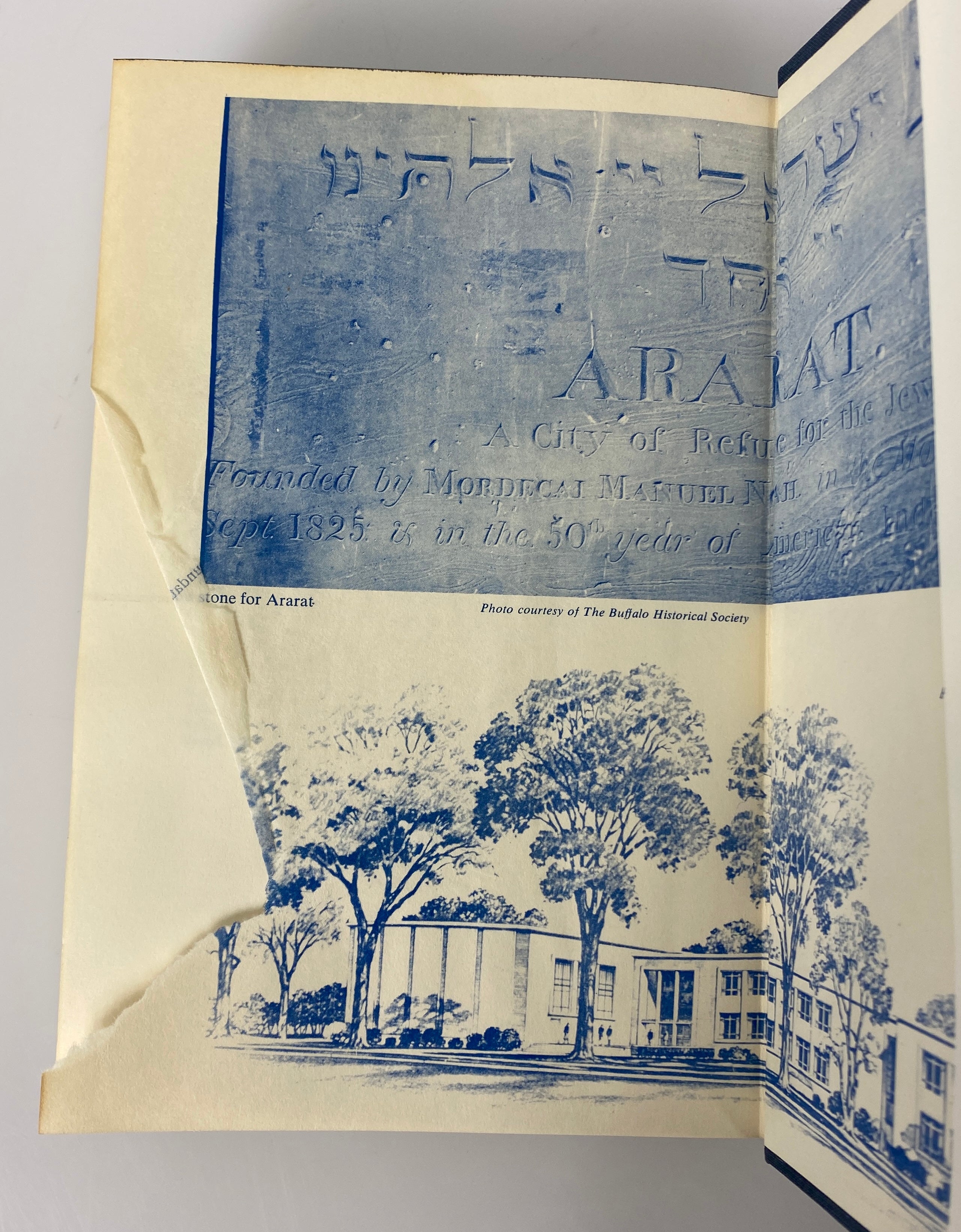 From Ararat to Suburbia by Adler/Connolly 1960 First Edition HC DJ