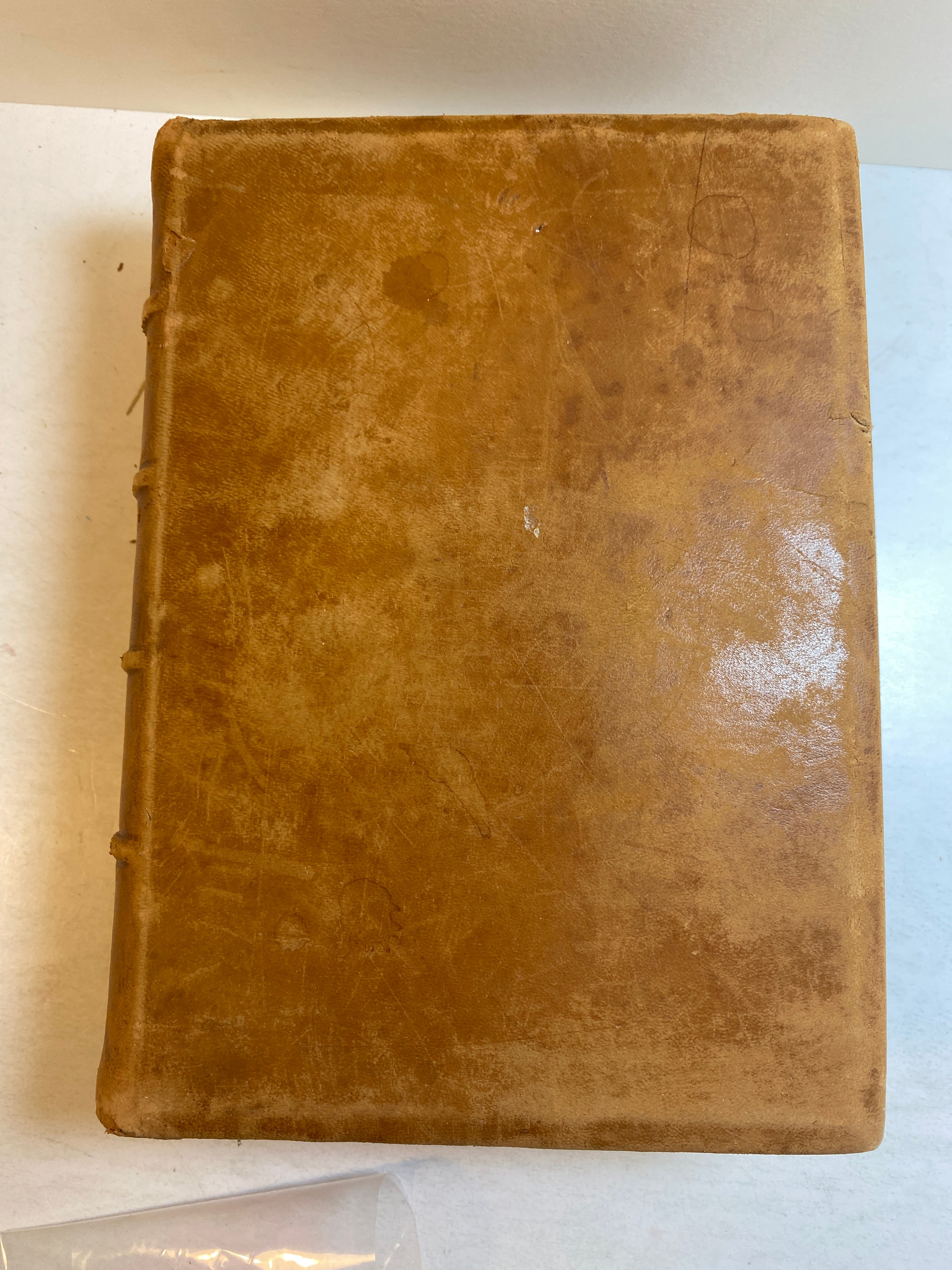 Gunn's New Family Physician/Home Book of Health 1901 Antique Leather Bound