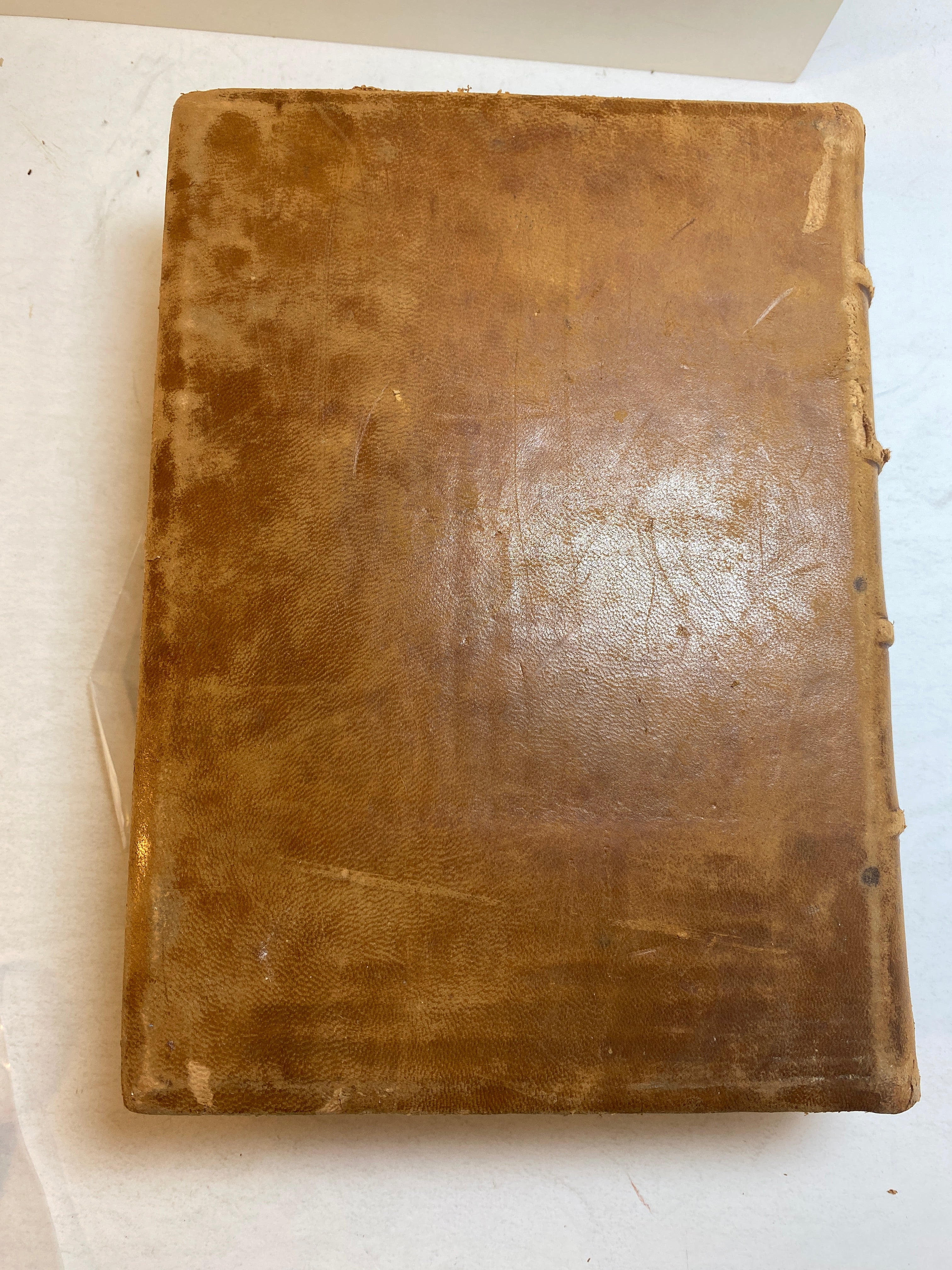 Gunn's New Family Physician/Home Book of Health 1901 Antique Leather Bound