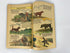 World Around Us: Hunting Number 31 1961 Classics Illustrated