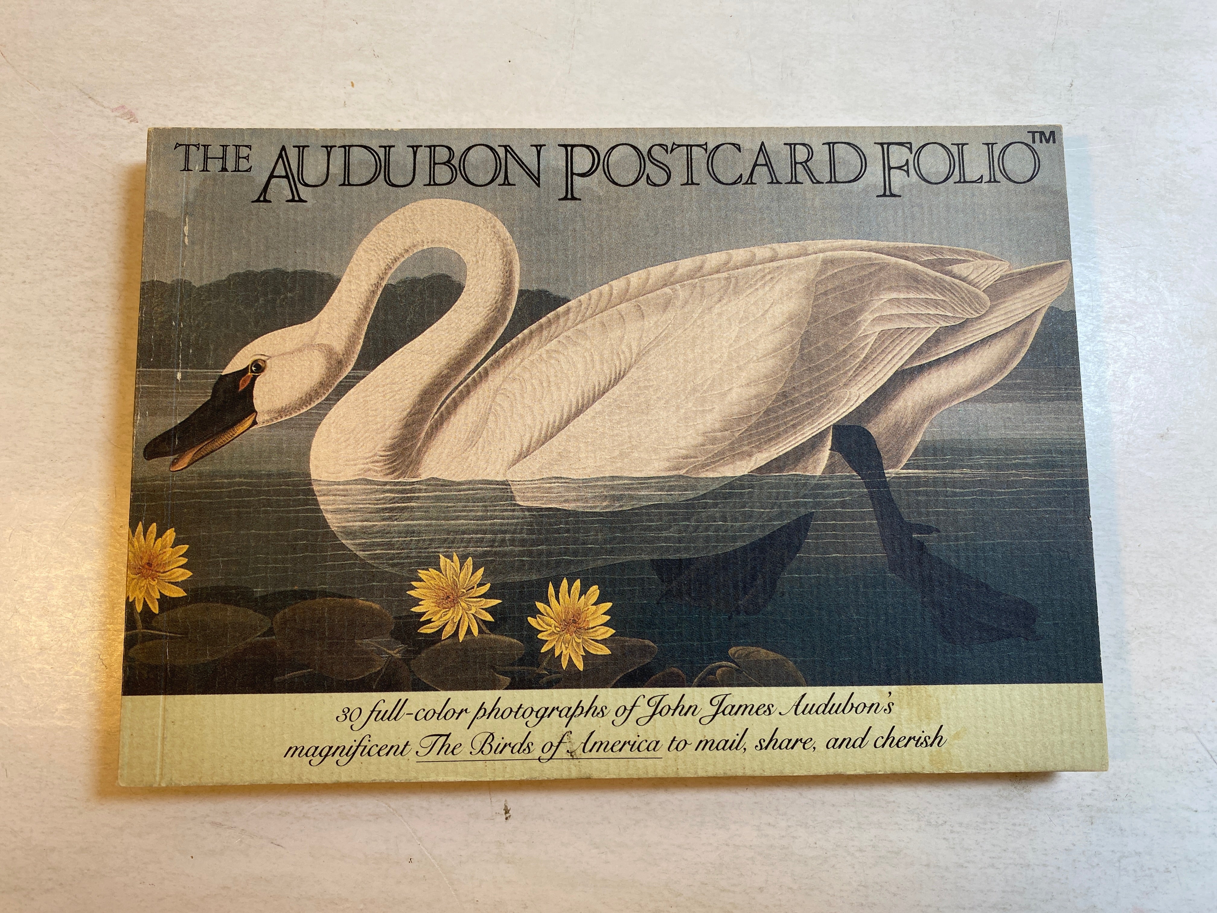 Audubon Postcard Portfolio 30 postcards 1986