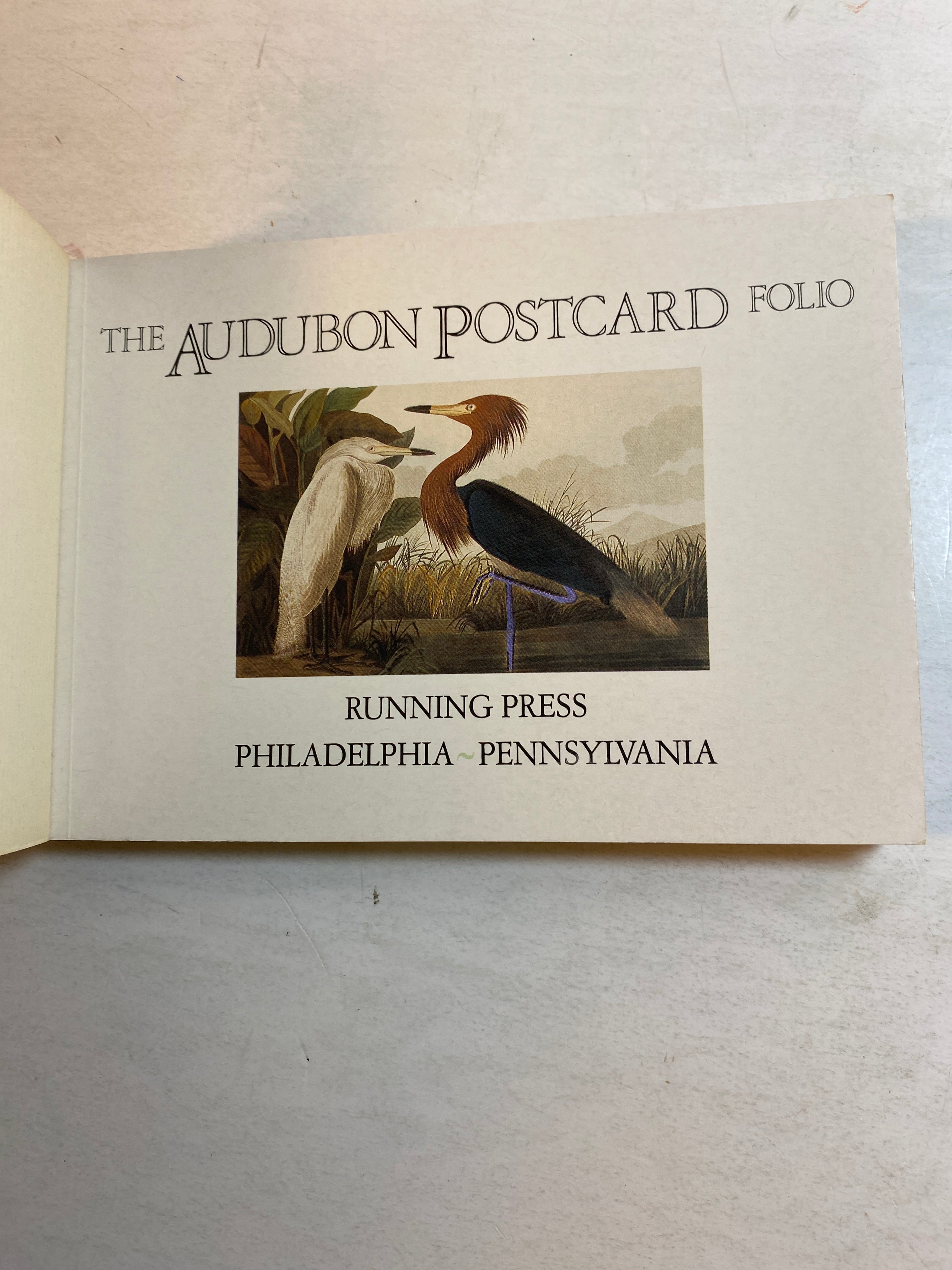 Audubon Postcard Portfolio 30 postcards 1986