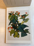 Audubon Postcard Portfolio 30 postcards 1986
