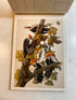 Audubon Postcard Portfolio 30 postcards 1986