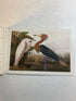 Audubon Postcard Portfolio 30 postcards 1986