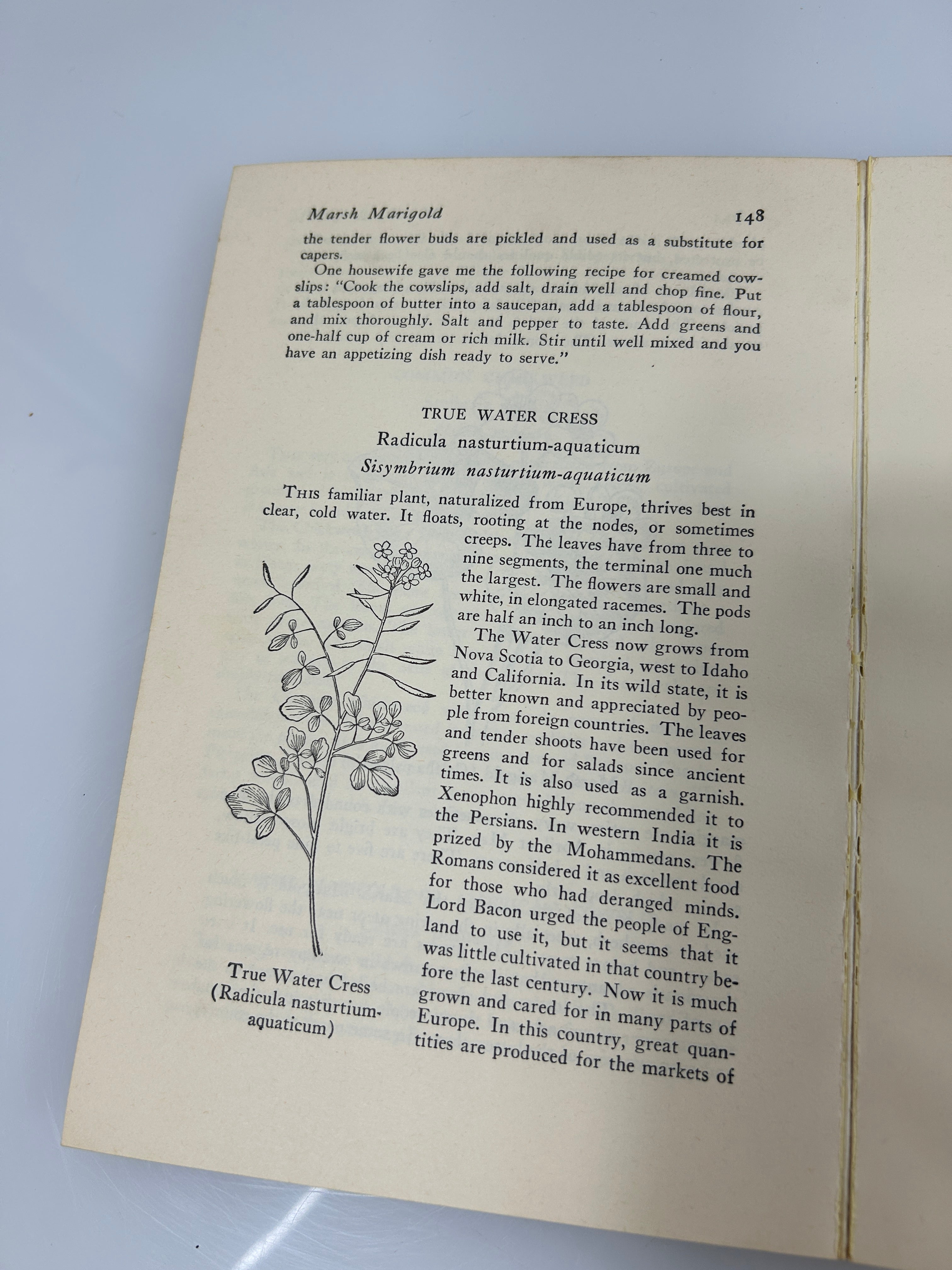 Lot of 2 Foraging Books: Edible Wild Plants/The Mushroom Handbook 1972/1967 SC