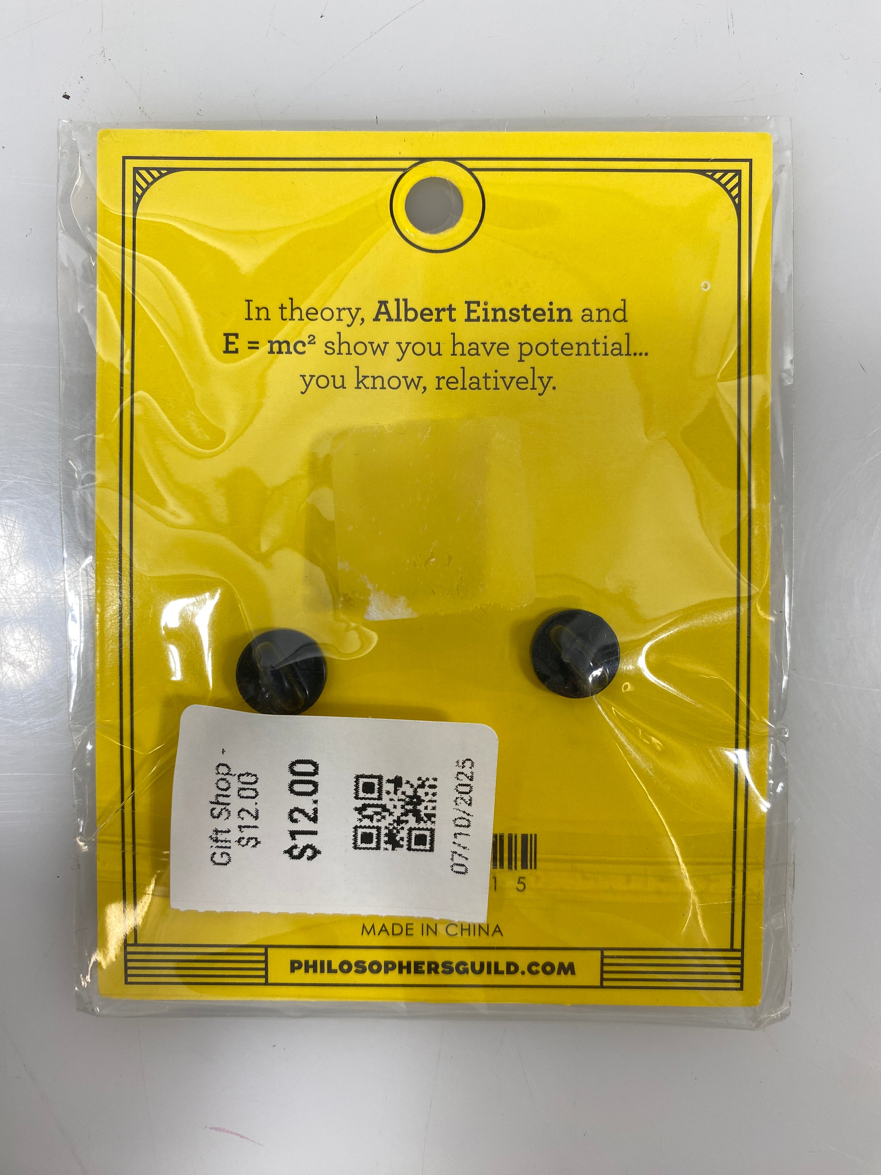 The Unemployed Philosophers Guild Albert Einstein Pins