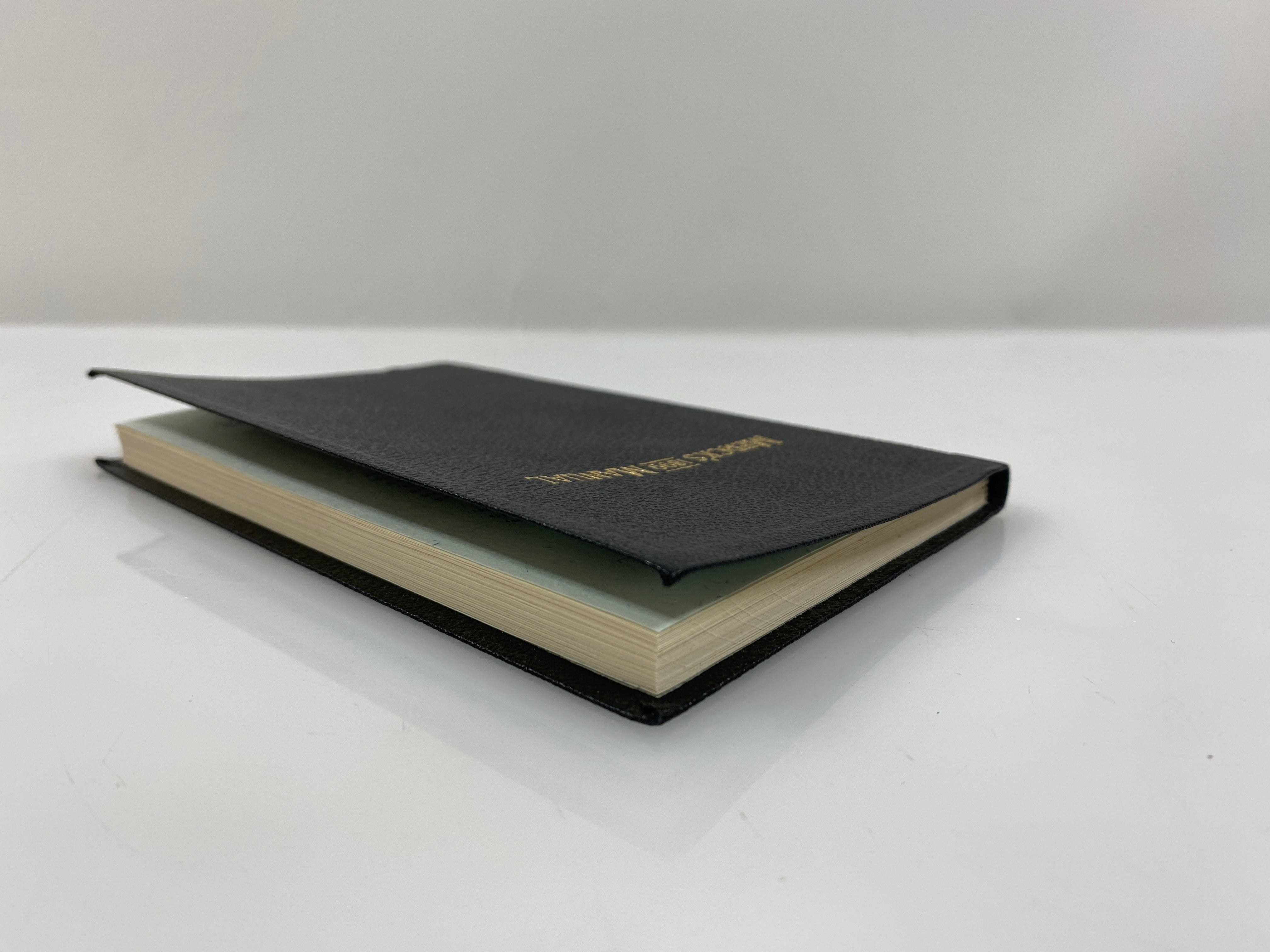 Mereck's 1899 Manual of Materia Medica SC 1999