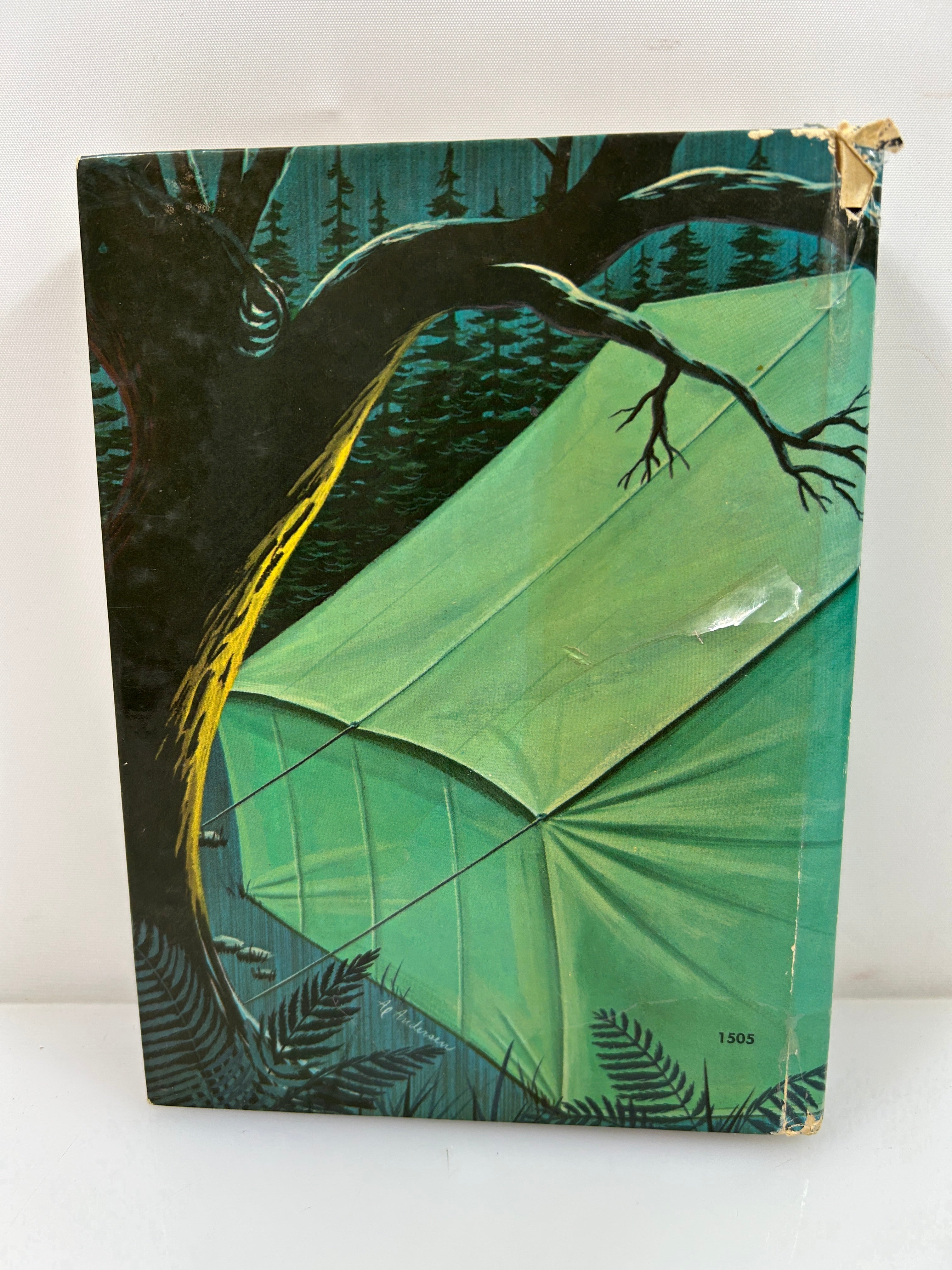 Lucy & the Madcap Mystery by Cole Fannin Authorized TV Adventure Whitman 1963 HC