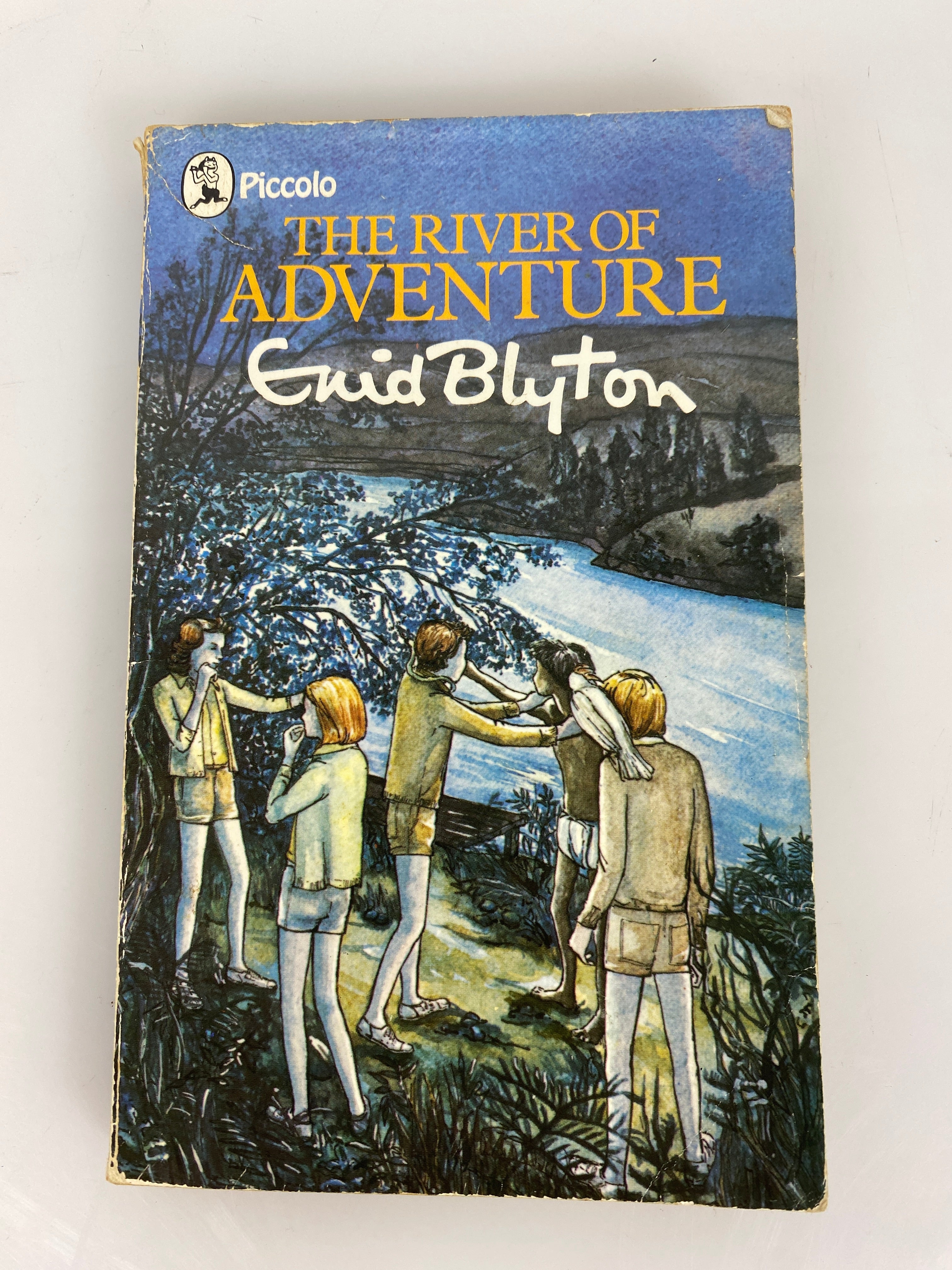 River of Adventure Enid Blyton Vintage Paperback 1975 SC
